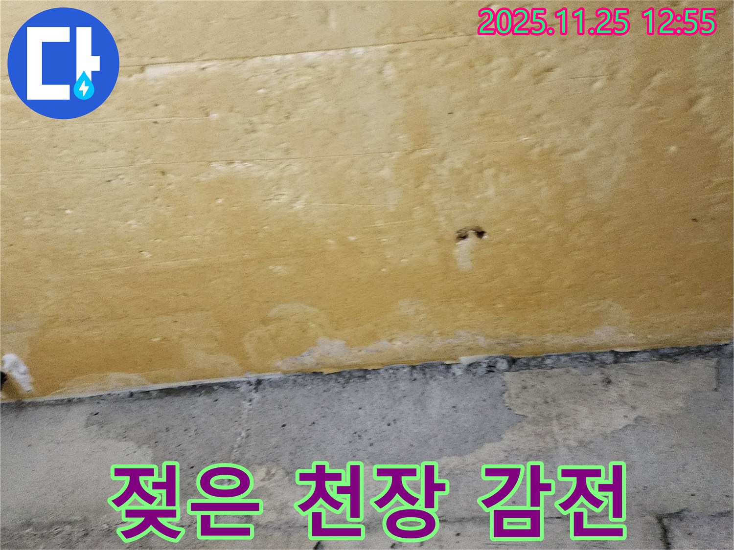젖은 천장 감전 - 감전 사고 위험 - 긴급 점검