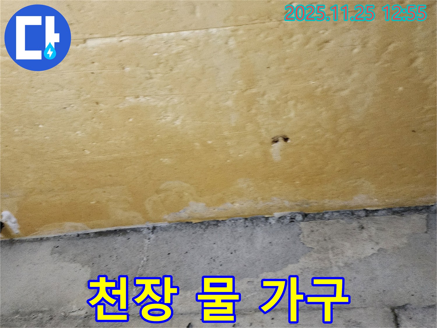 천장 물 가구 - 가구 손상 우려 - 빠른 조치