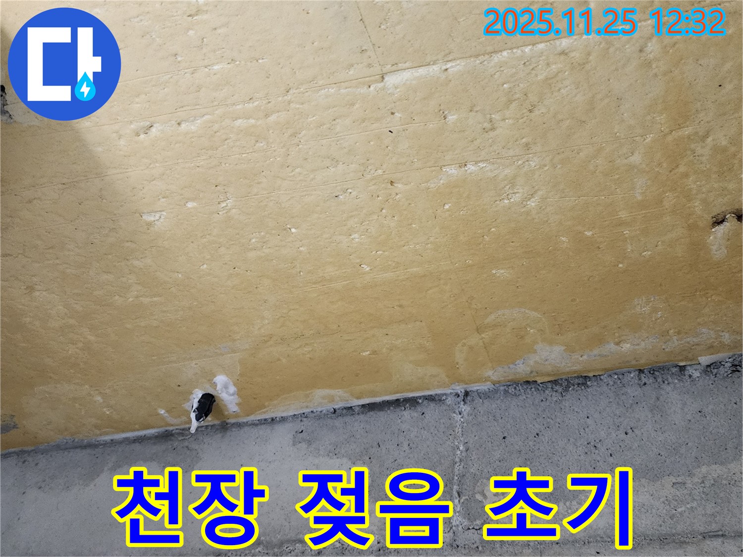 천장 젖음 - 초기 누수 - 빠른 진단