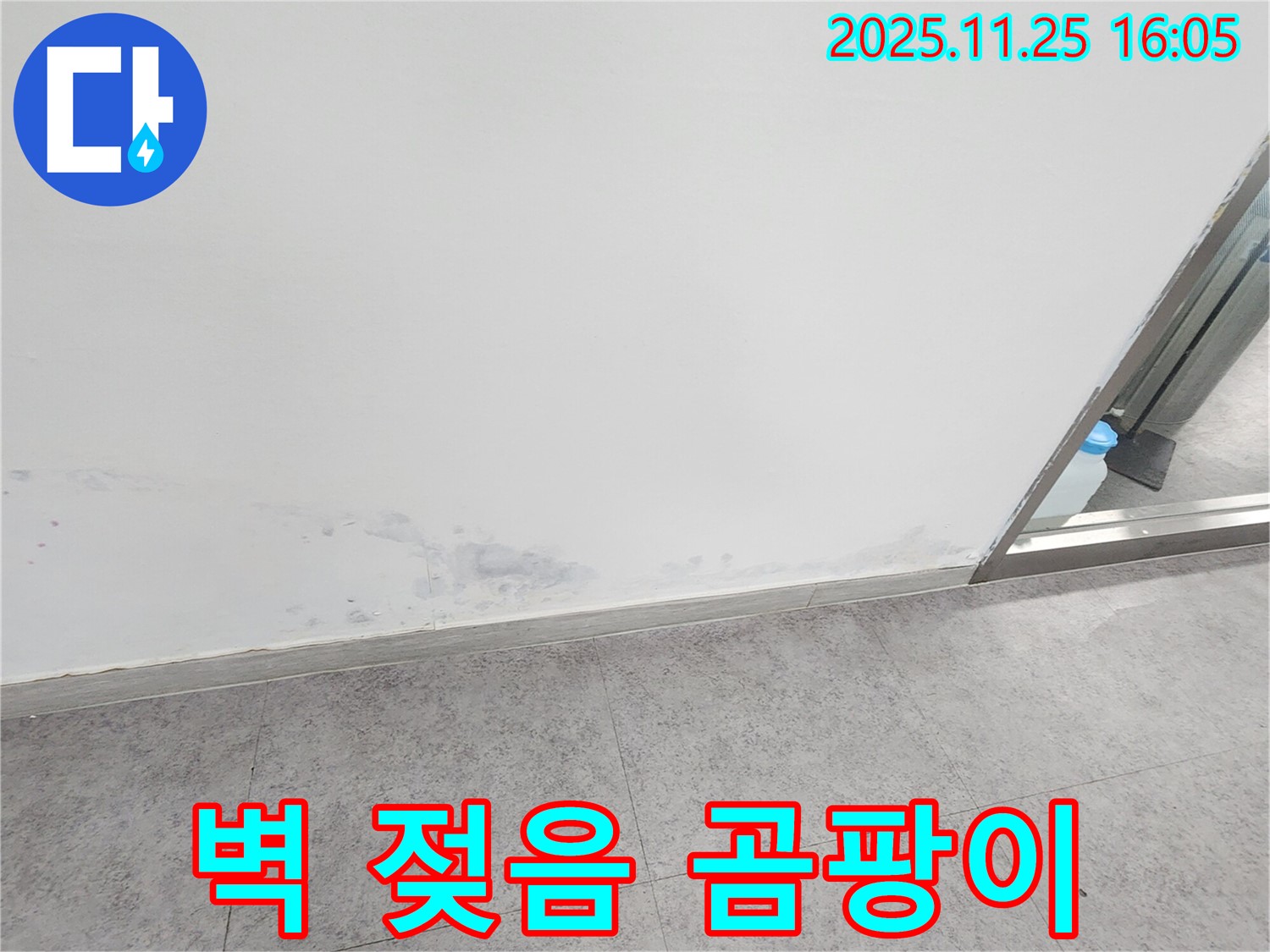 경기도 포천시 신북면 만세교리 - 젖은 벽과 곰팡이 초기 발견, 누수 가능성 진단