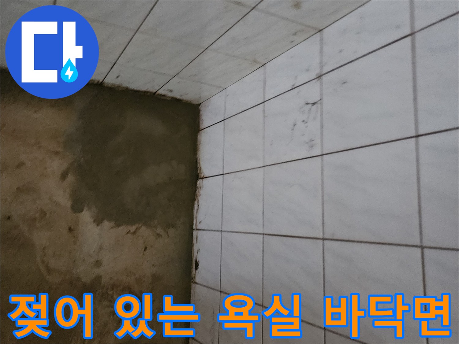 물기가 머금어진 타일 벽면-누수 징후 발견