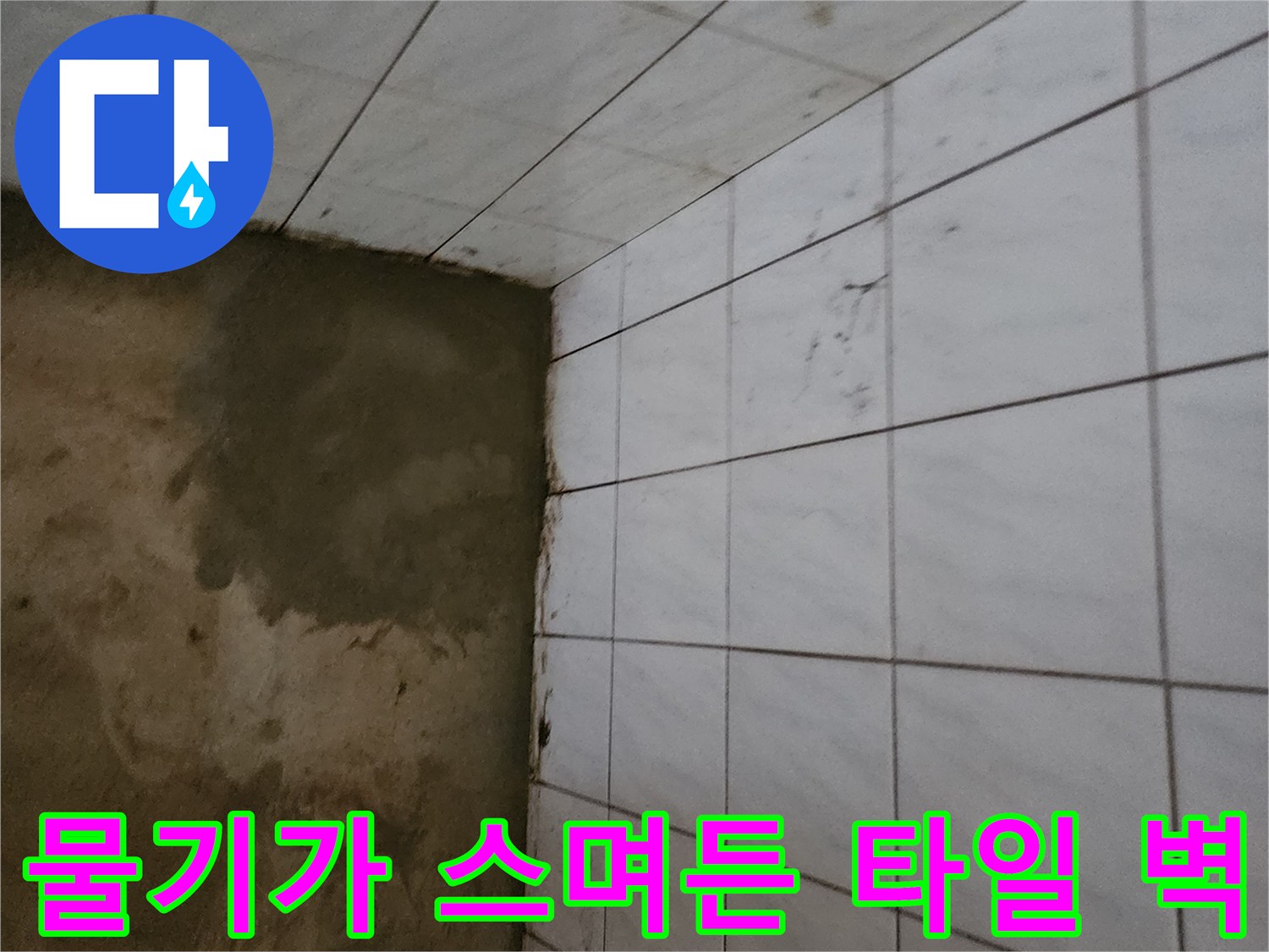 욕실 하단 타일 부위-습기 머금은 현상