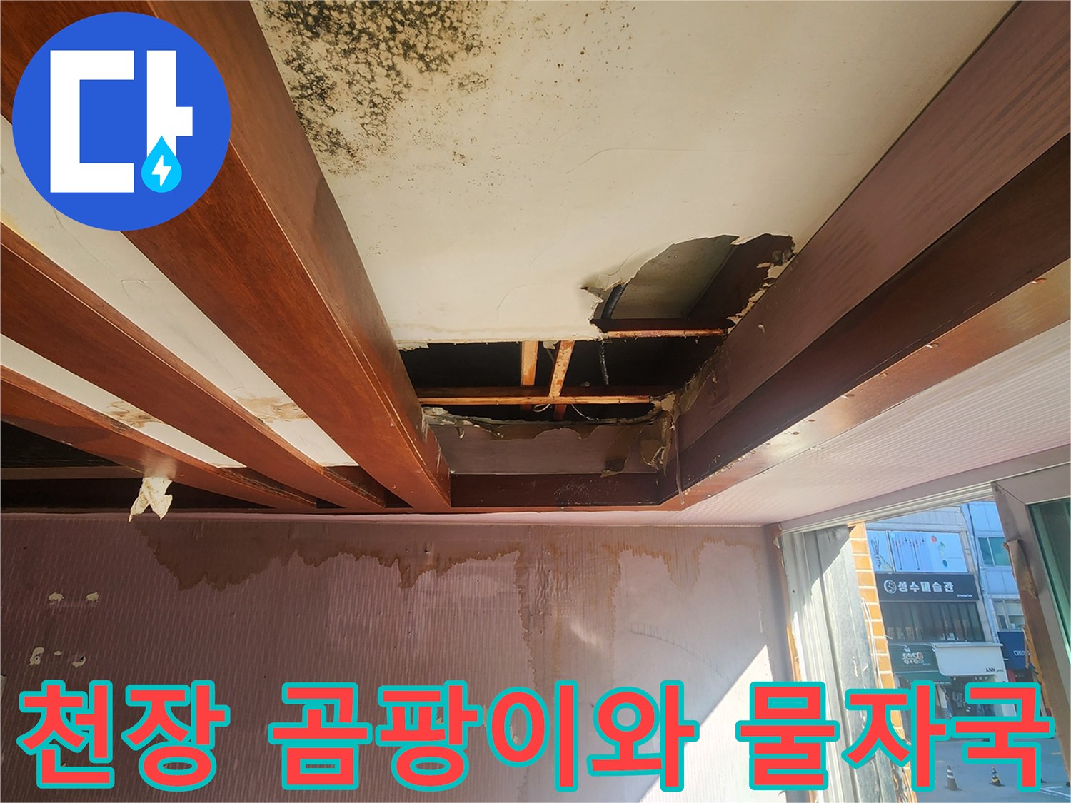 천장 석고보드에 발생한 검은 곰팡이와 습기 흔적