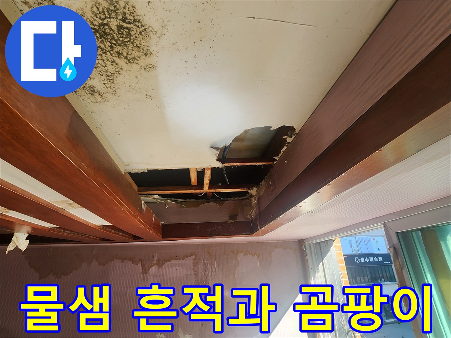 천장 얼룩 및 곰팡이-벽지 오염 상태