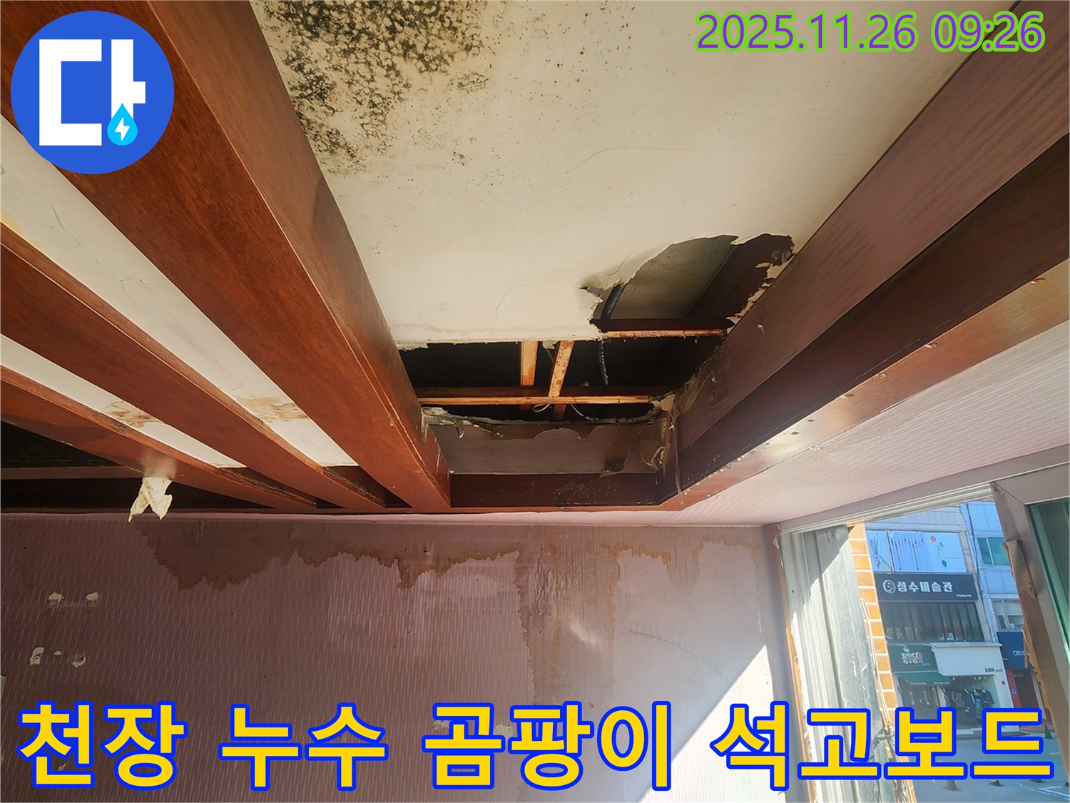 포천시 신북면 계류리에서 발생한 천장 누수 현장 - 곰팡이와 석고보드 손상 상태를 보여줍니다.