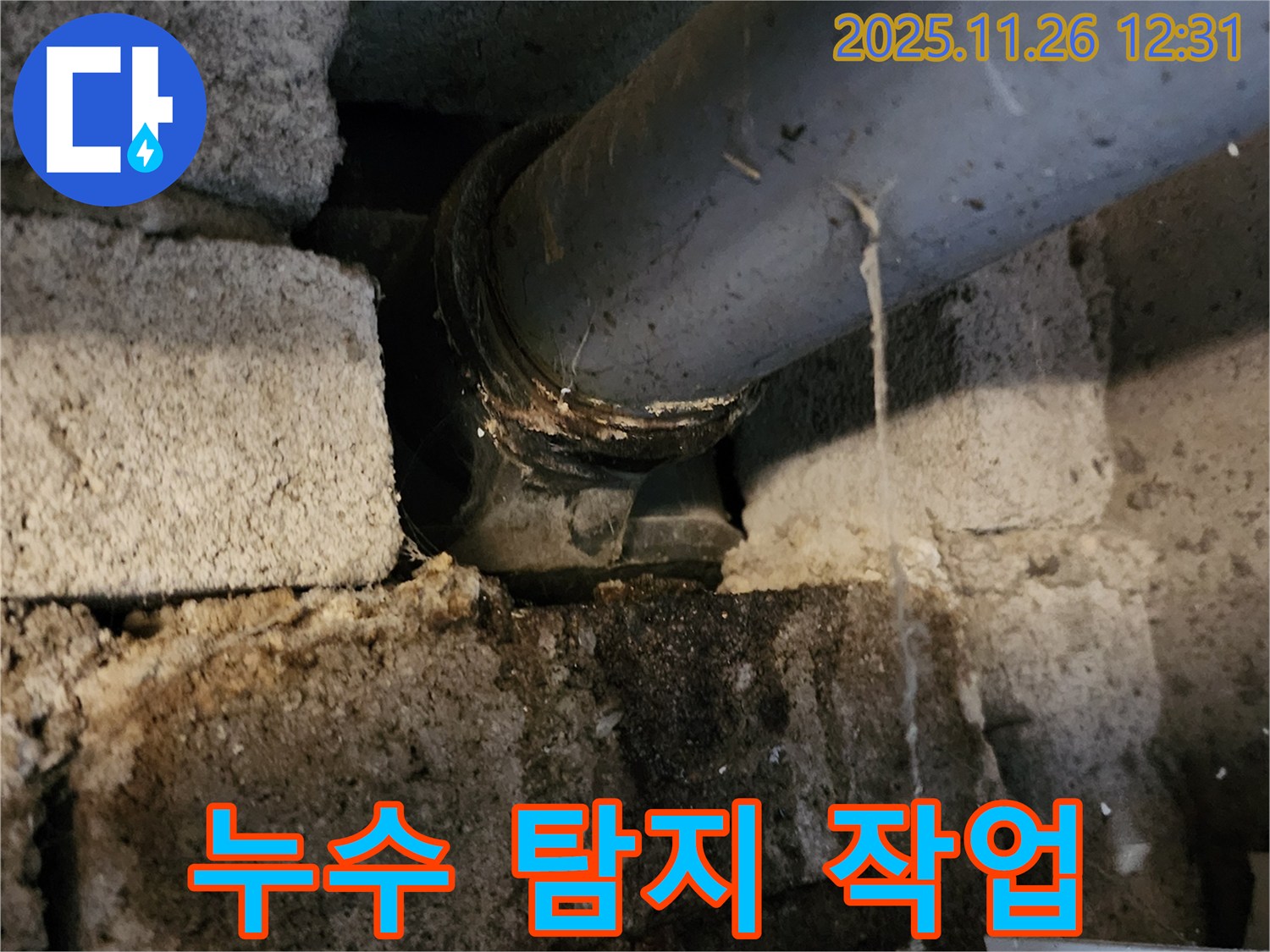 포천시 신북면 고일리 - 누수 탐지 작업 진행 중!