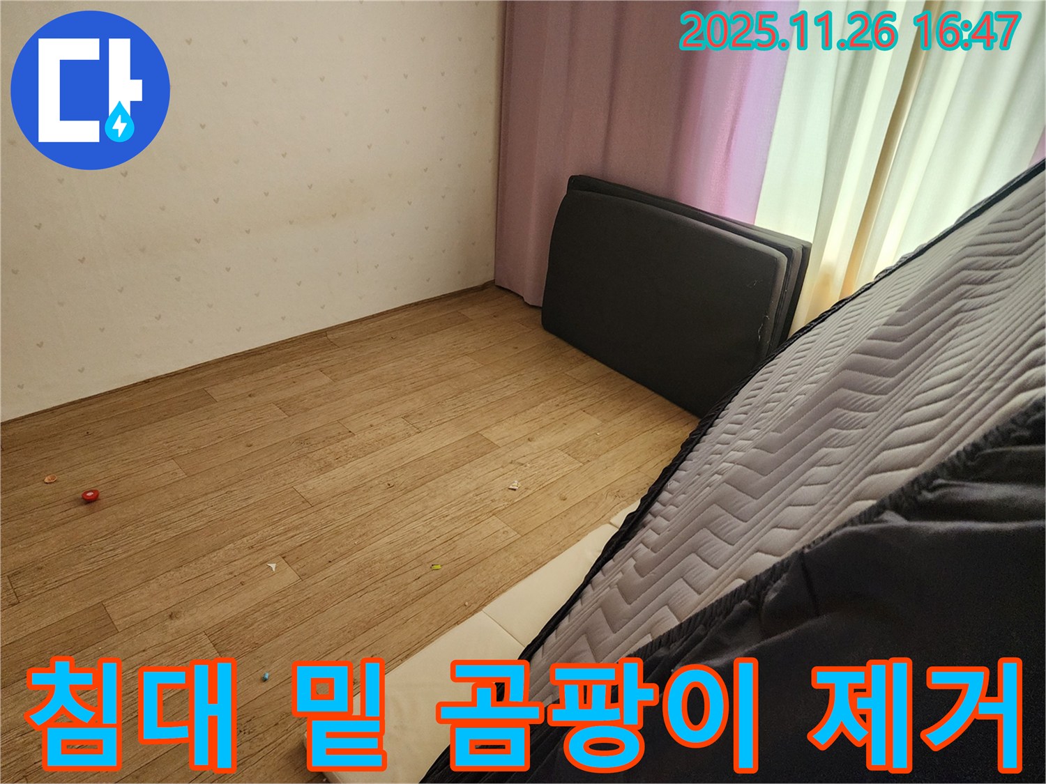 포천 신북면 삼성당리 누수 - 침대 밑 곰팡이 습기 제거 작전