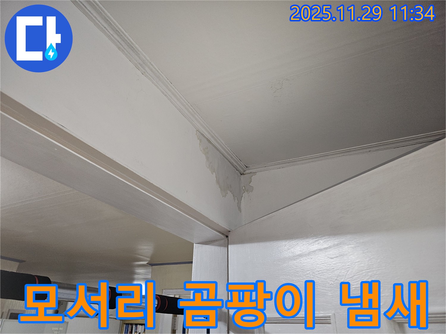 광탄 천장 누수 - 모서리 곰팡이, 냄새까지 싹 잡아드려 쾌적하게!