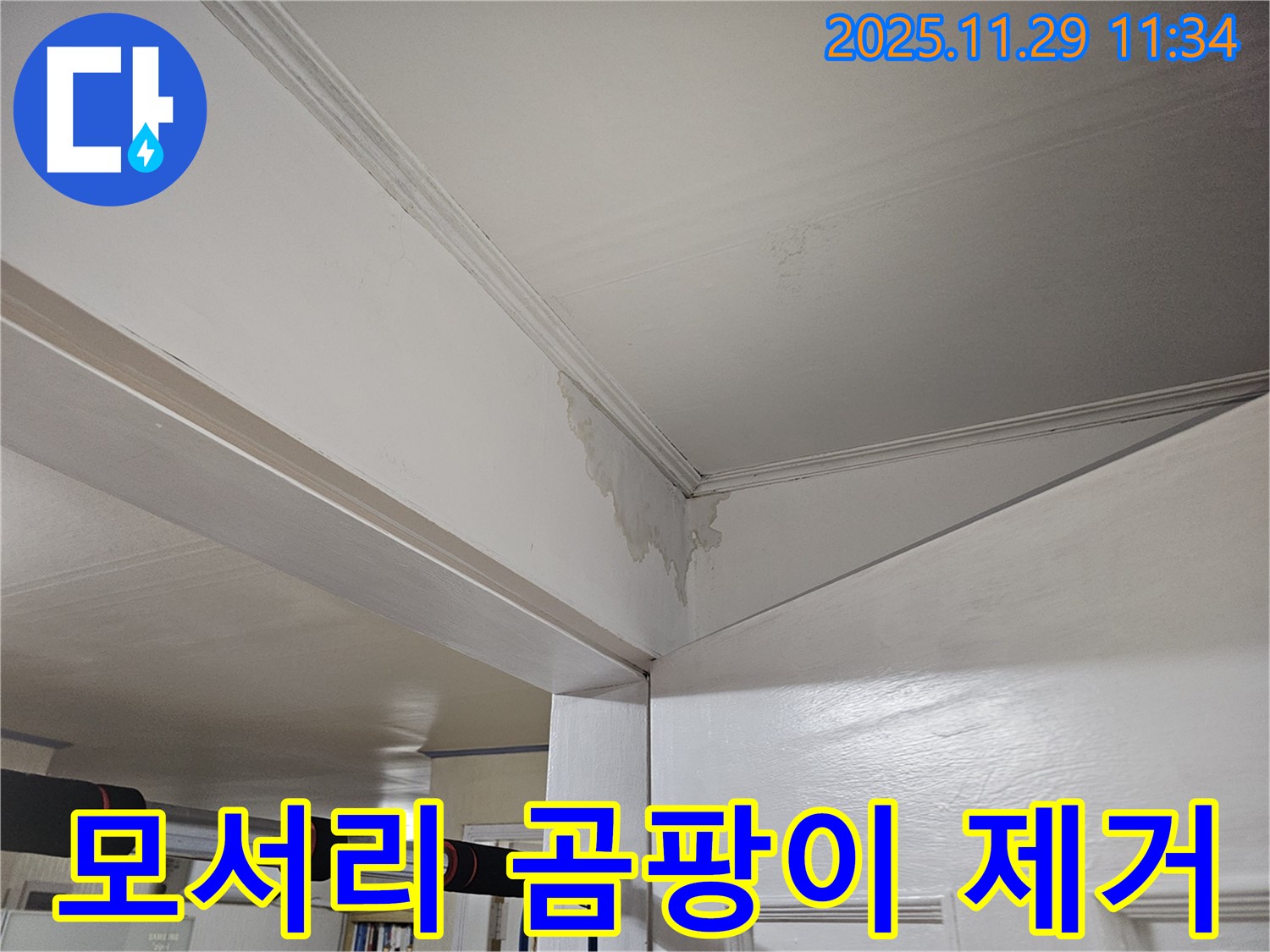 광탄 천장 누수 - 모서리 곰팡이, 완벽 제거 & 쾌적한 공간으로 변신!