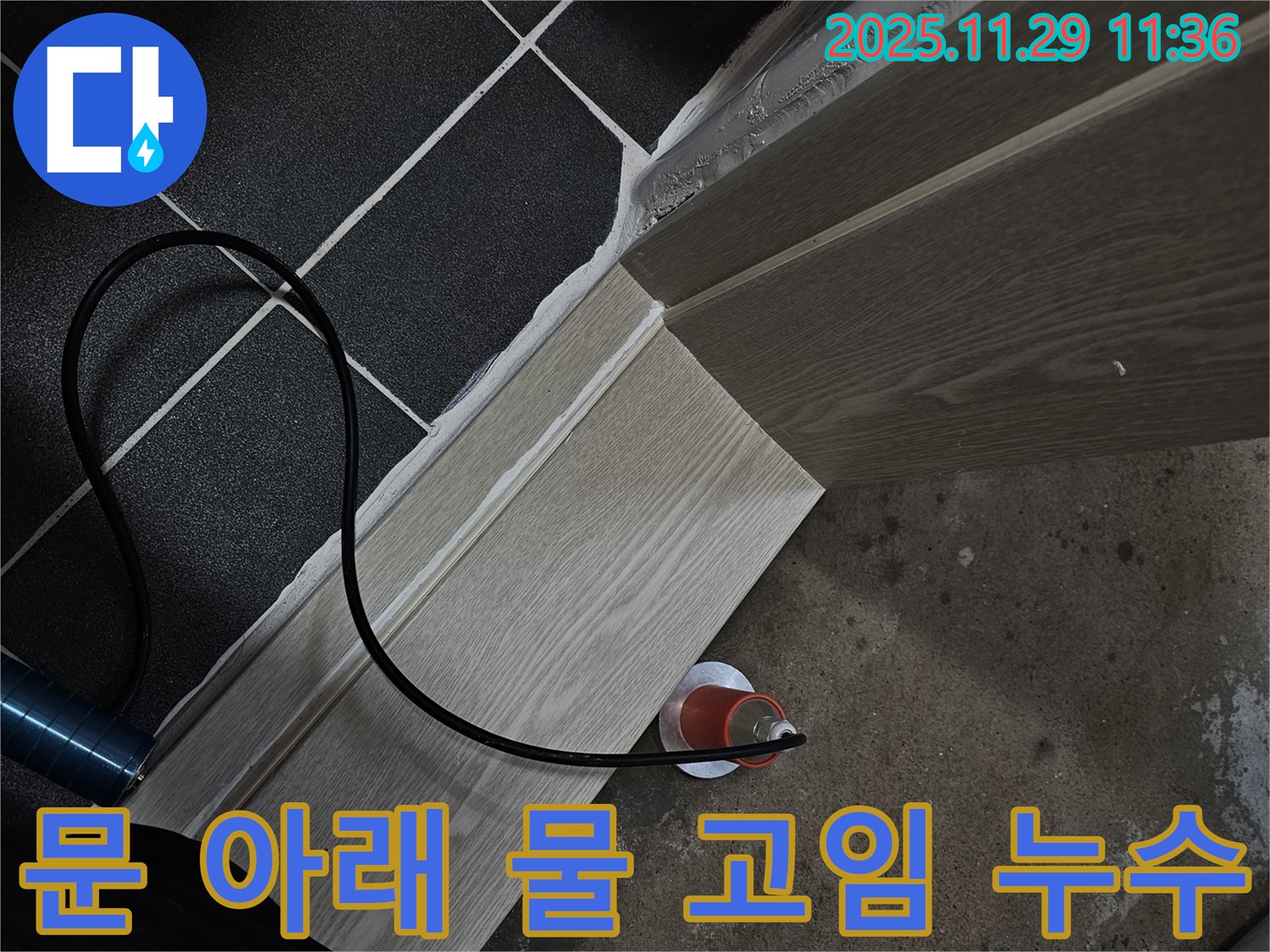 문 아래 물 고임 - 누수 전문가가 해결!