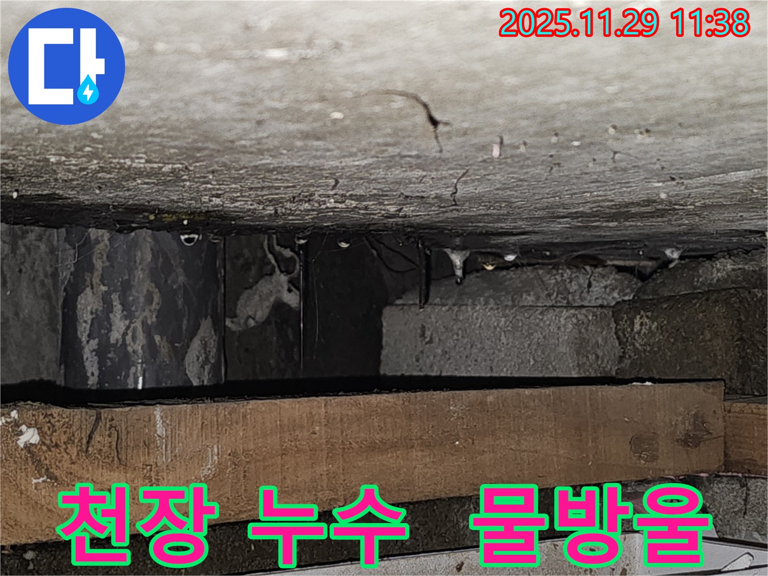 천장에 맺힌 물방울 - 파주시 광탄면 누수 책임 시공