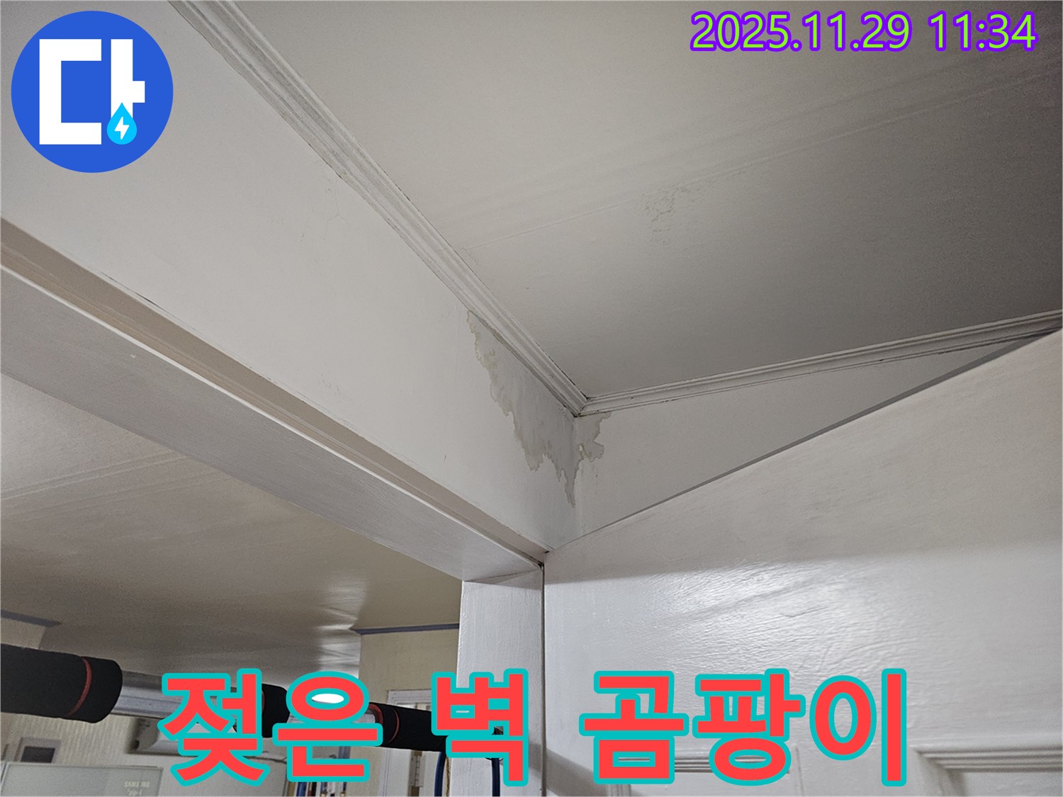 파주 광탄 누수 - 젖은 벽 곰팡이, 완벽 제거 & 재발 방지 시공으로 쾌적하게!