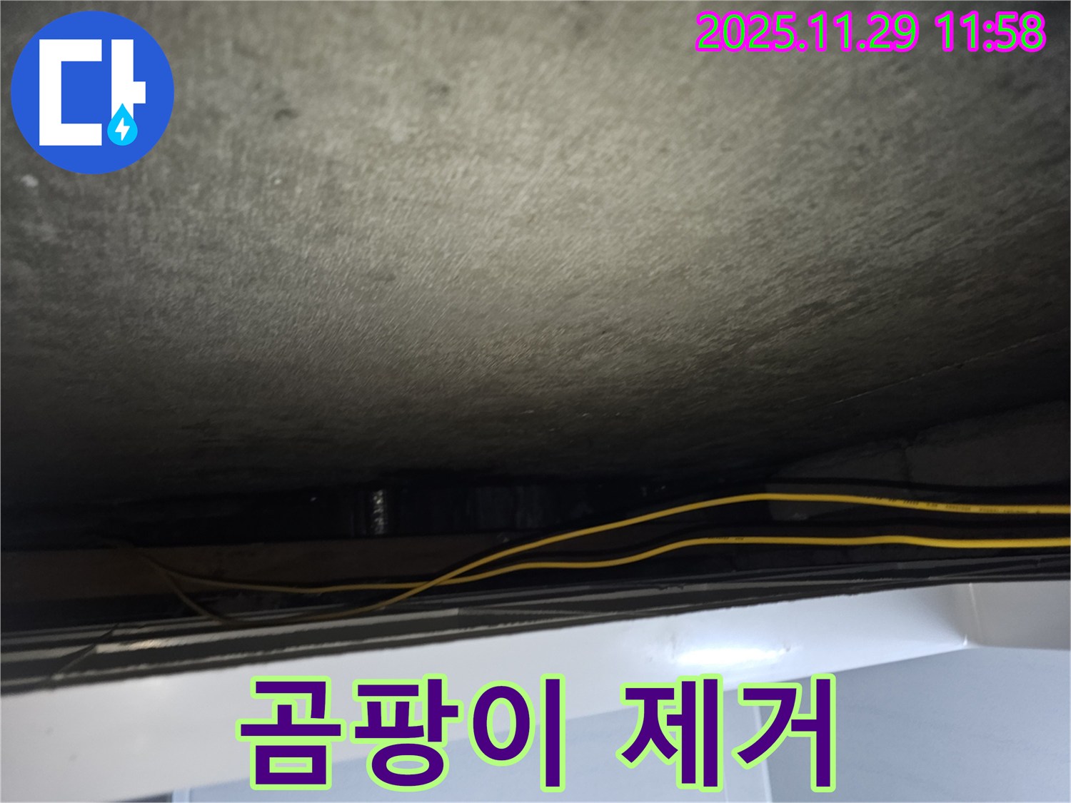 파주 누수 - 천장 곰팡이 제거 및 방지 작업