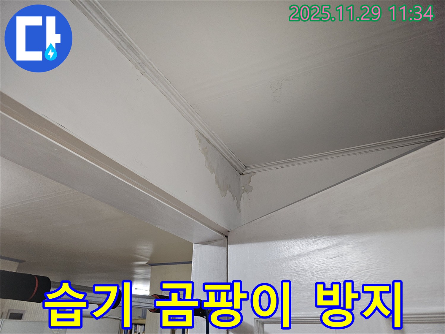 파주시 광탄면 천장 누수 - 천장 습기 가득, 곰팡이 방지 긴급 시공으로 쾌적하게!