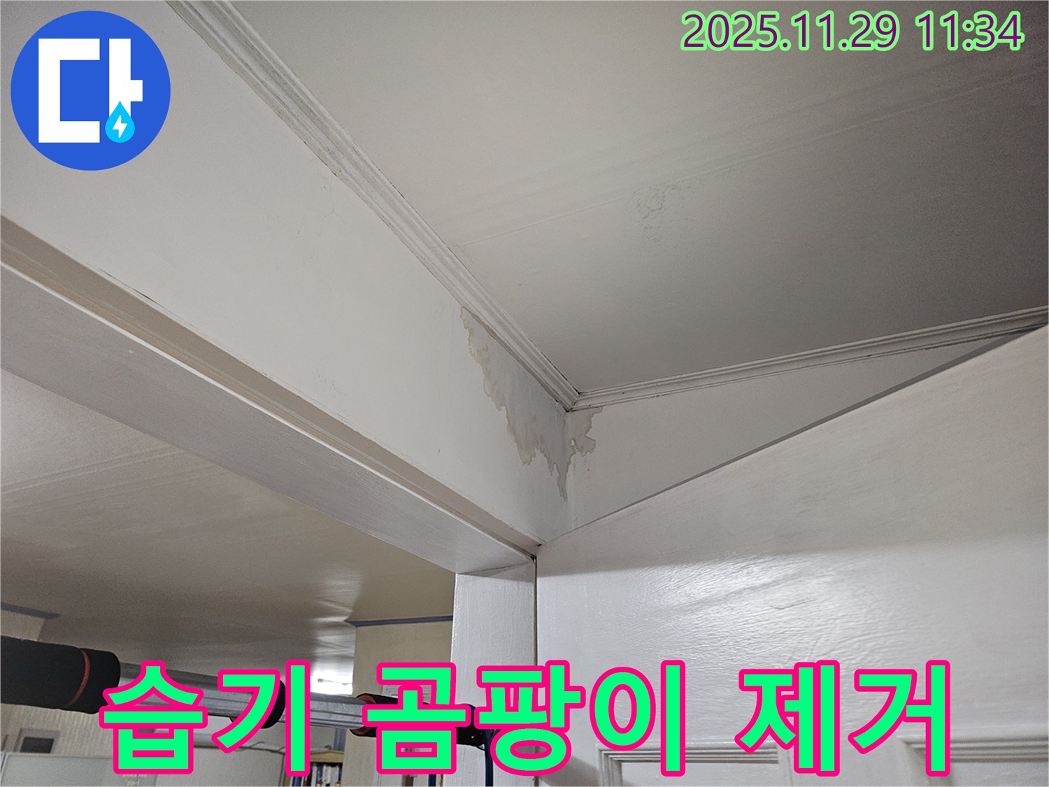 파주시 광탄면 천장 누수 - 천장 습기 곰팡이, 완벽 제거 & 재발 방지로 쾌적하게!
