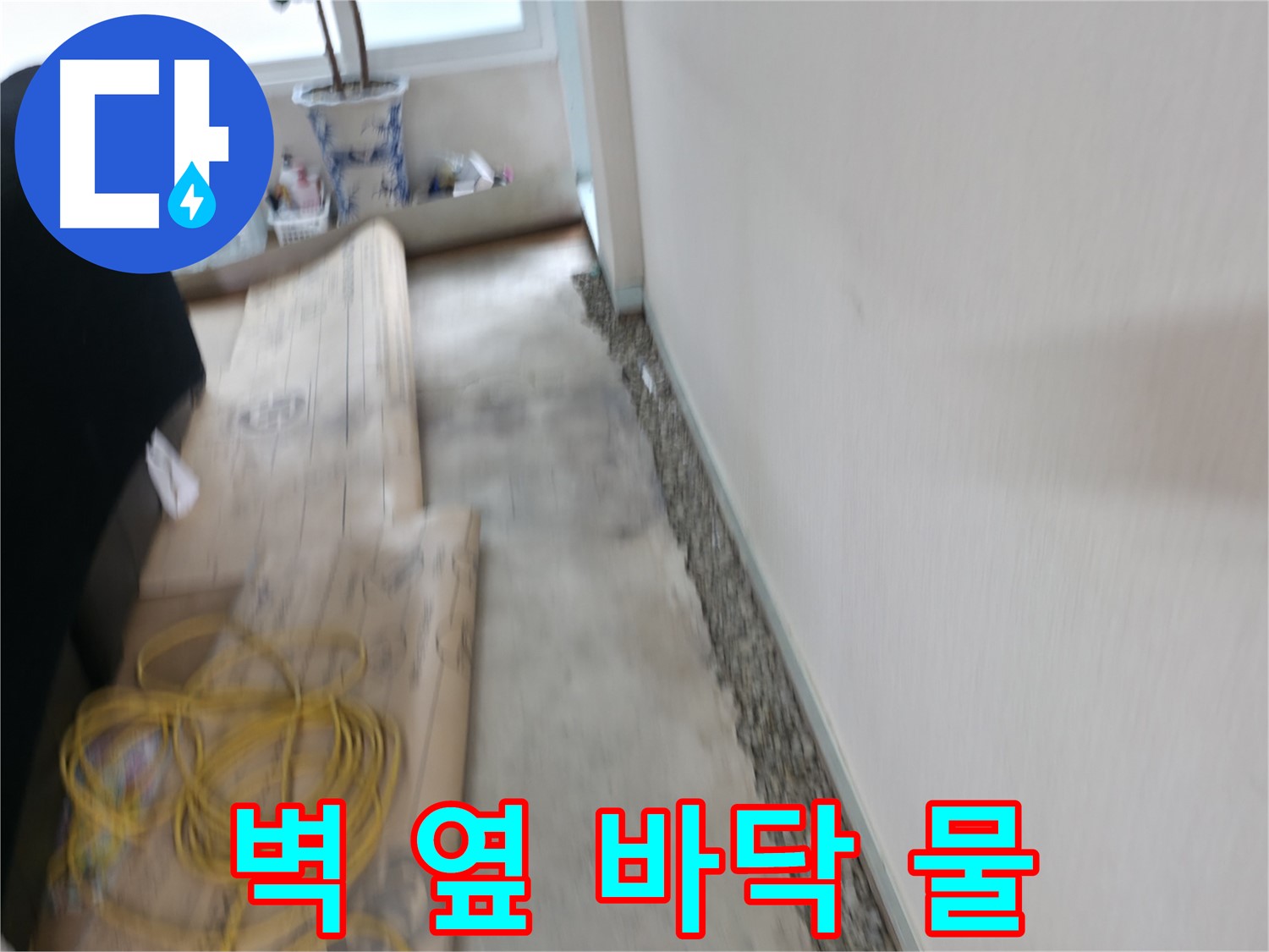 서초2동에서 눅눅한 바닥, 곰팡이 OUT! 쾌적한 공간으로 만들어 드립니다!
