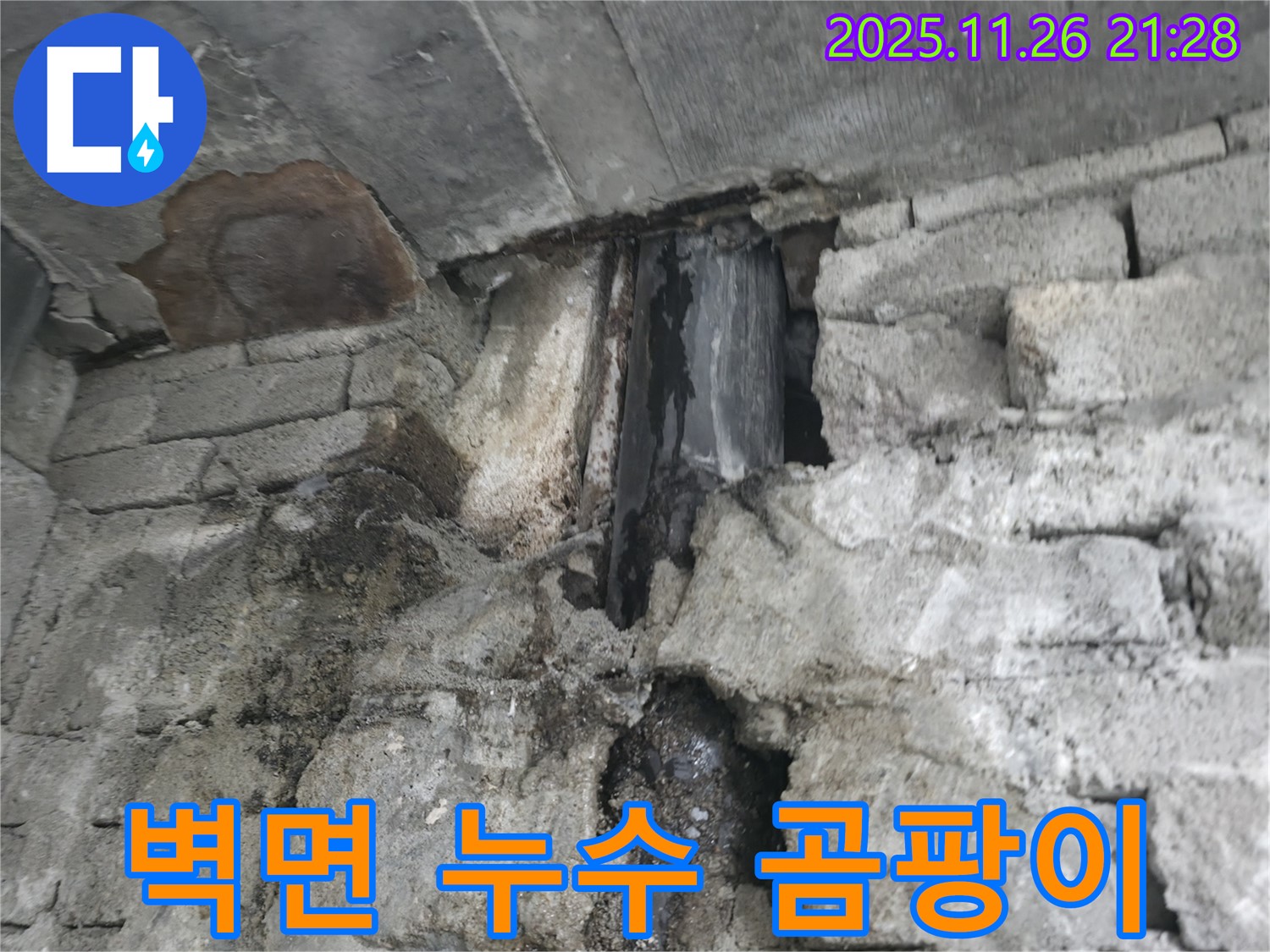 벽면 누수 - 곰팡이 서식 및 실내 공기 오염