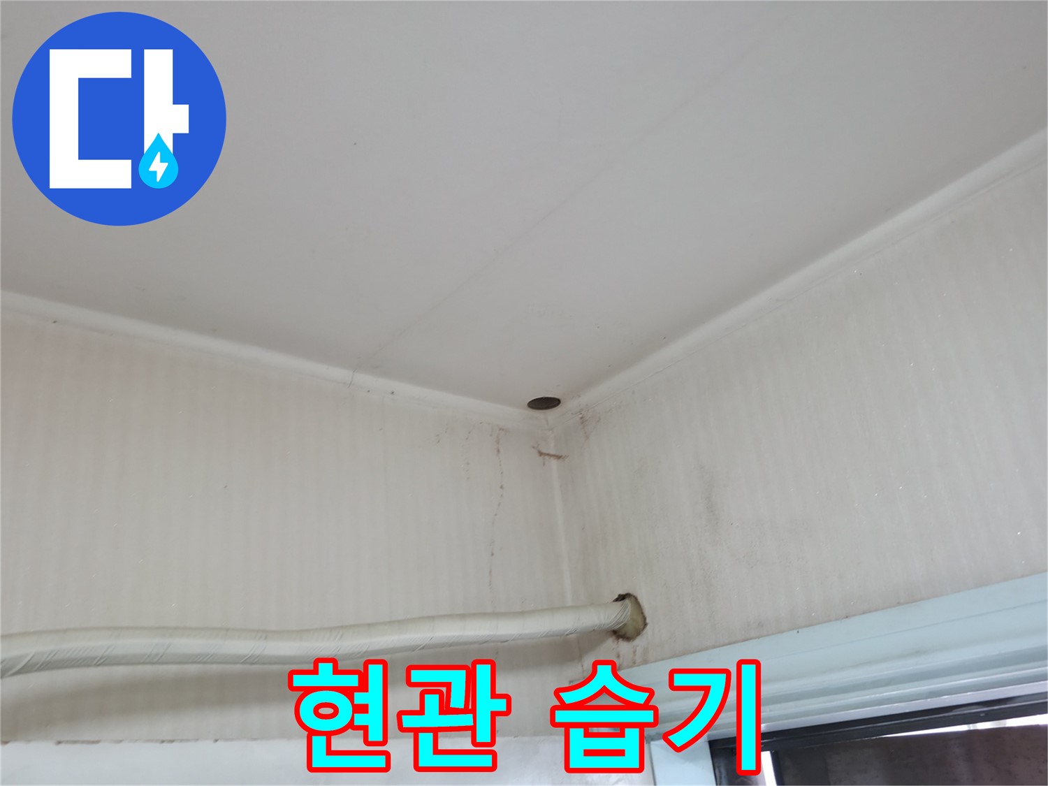 서초 명달로4길 현관 습기 - 빗물 침투 의심!