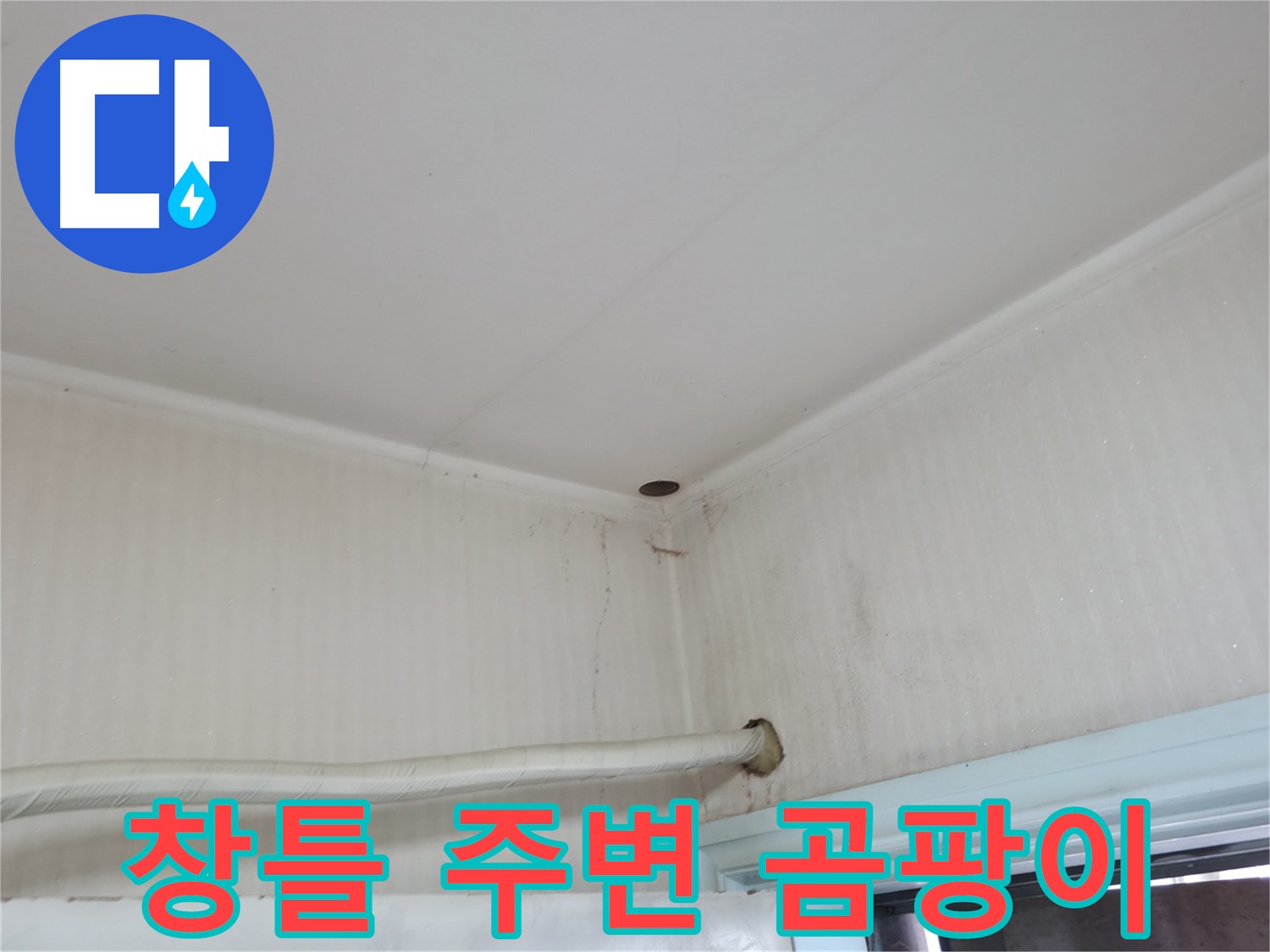 서초2동 341-1 창틀 곰팡이 - 겨울철 누수 의심!