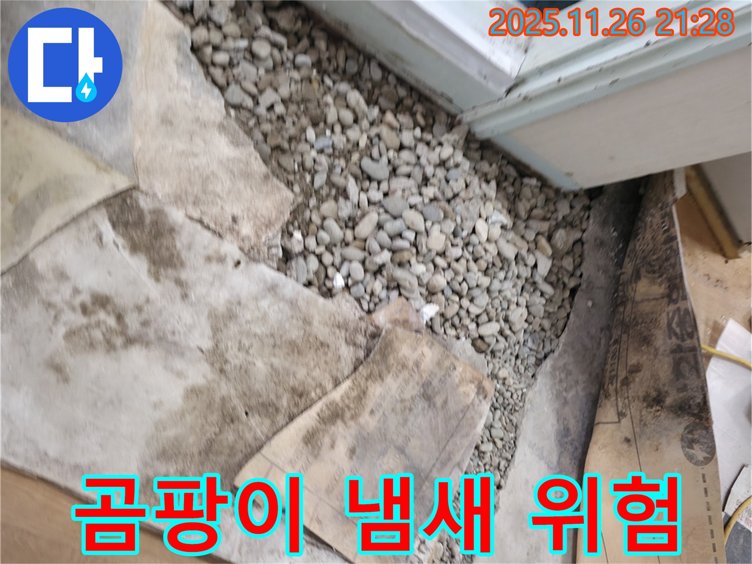 서초2동 누수 - 곰팡이 냄새 - 건강 적신호