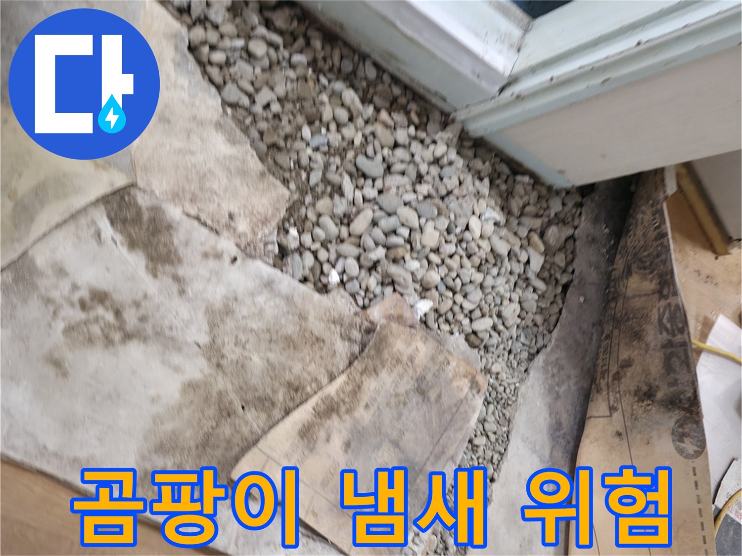 서초2동 누수 - 곰팡이 냄새 - 건강 적신호