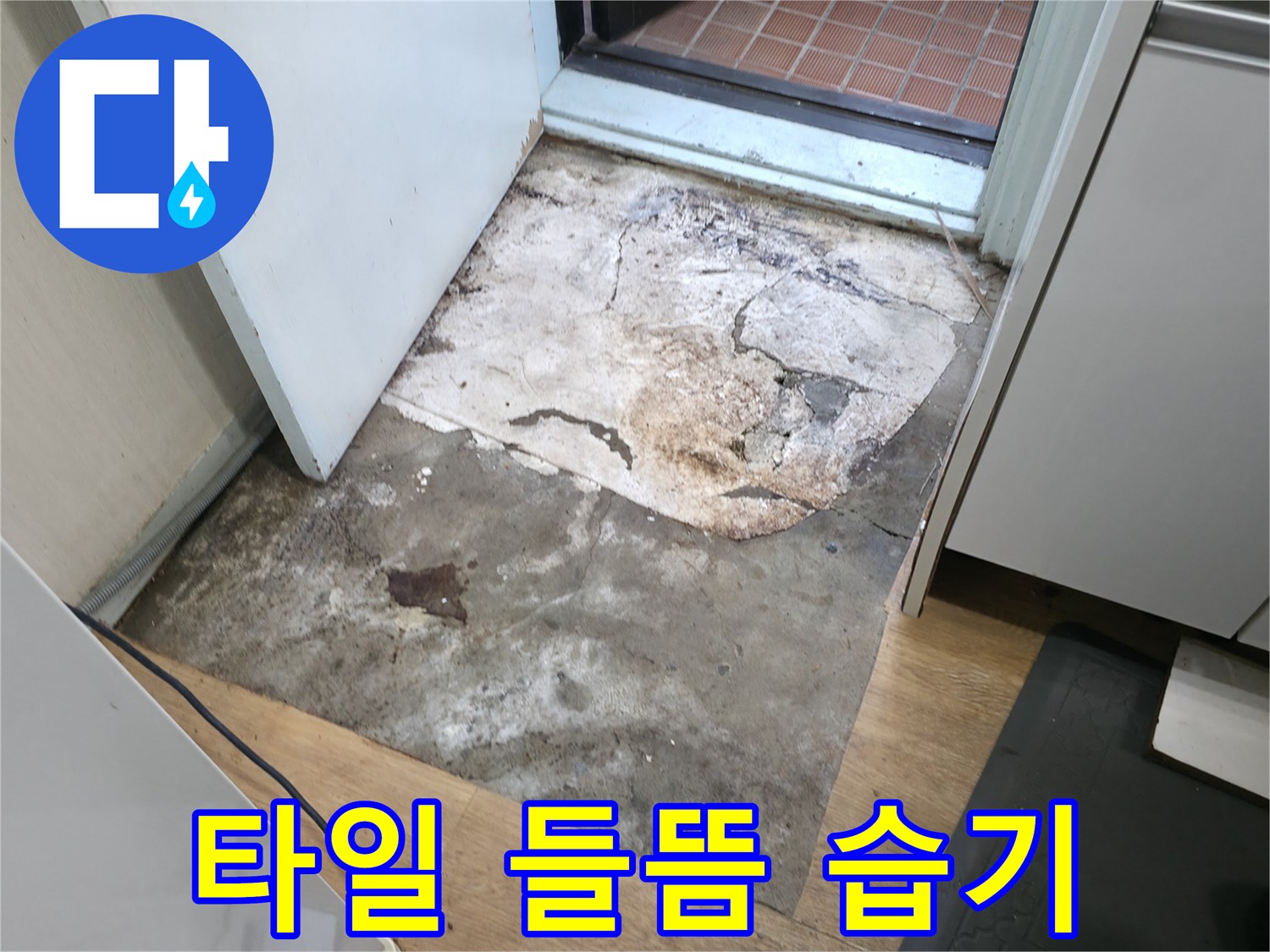 서초2동 누수 현장 - 타일 들뜸과 습기로 인한 문제점을 보여주는 사진