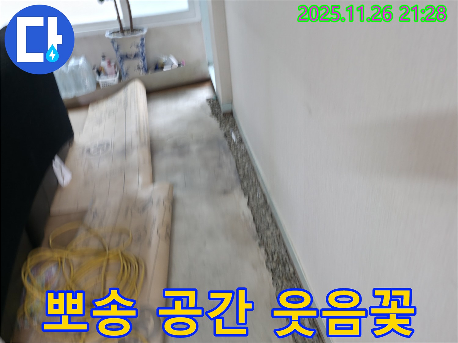 서초2동 눅눅한 장판 Bye Bye - 뽀송뽀송한 공간에서 매일 웃음꽃 활짝 피우세요!
