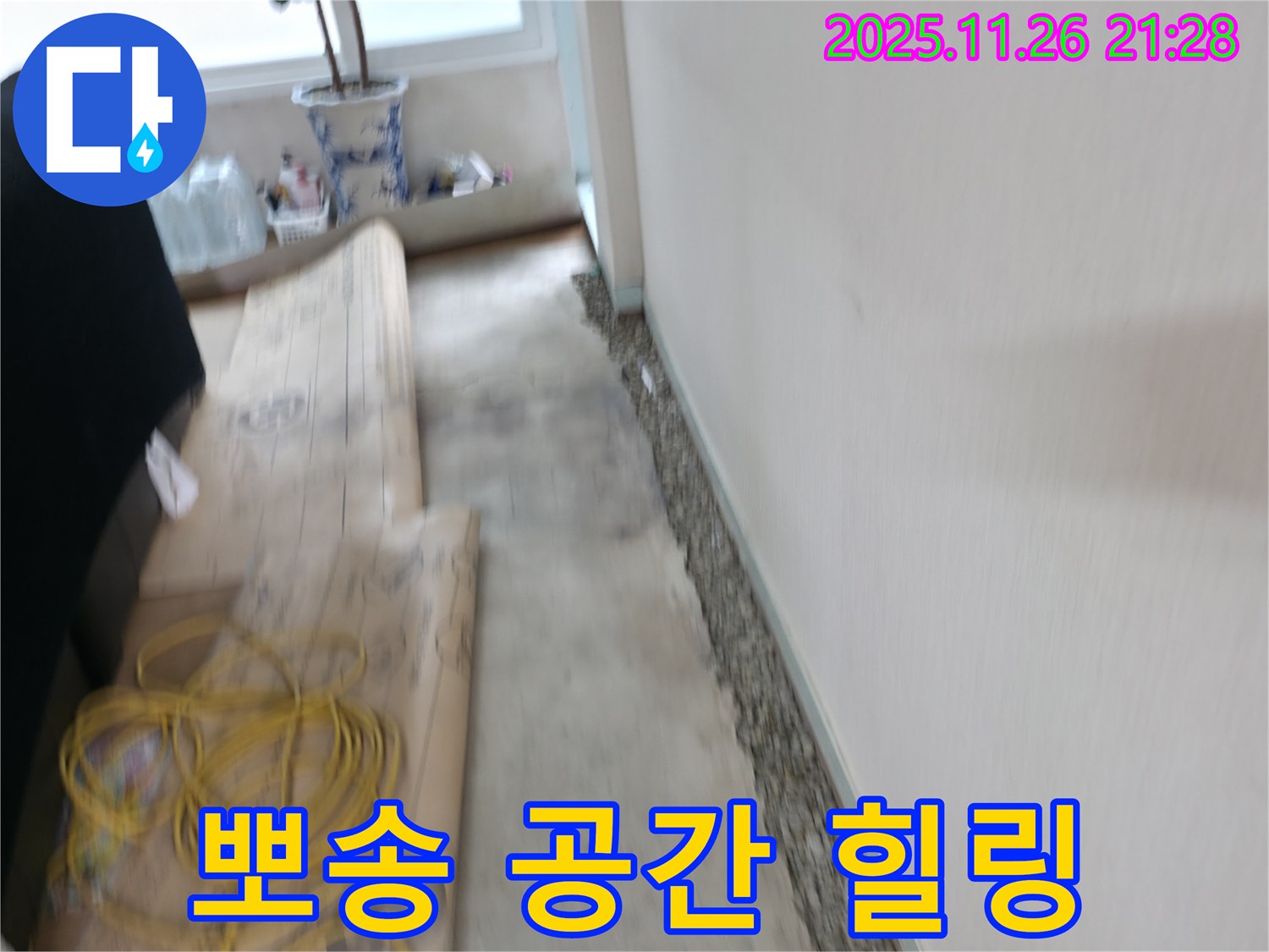 서초2동 눅눅한 장판 제거 - 뽀송뽀송한 공간에서 힐링하세요!