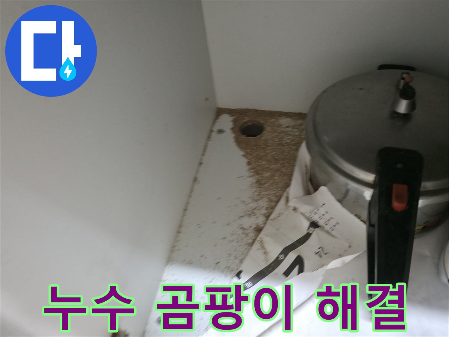 싱크대 밑 - 톱밥 - 건물 수명 단축 - 조기 진단 필수