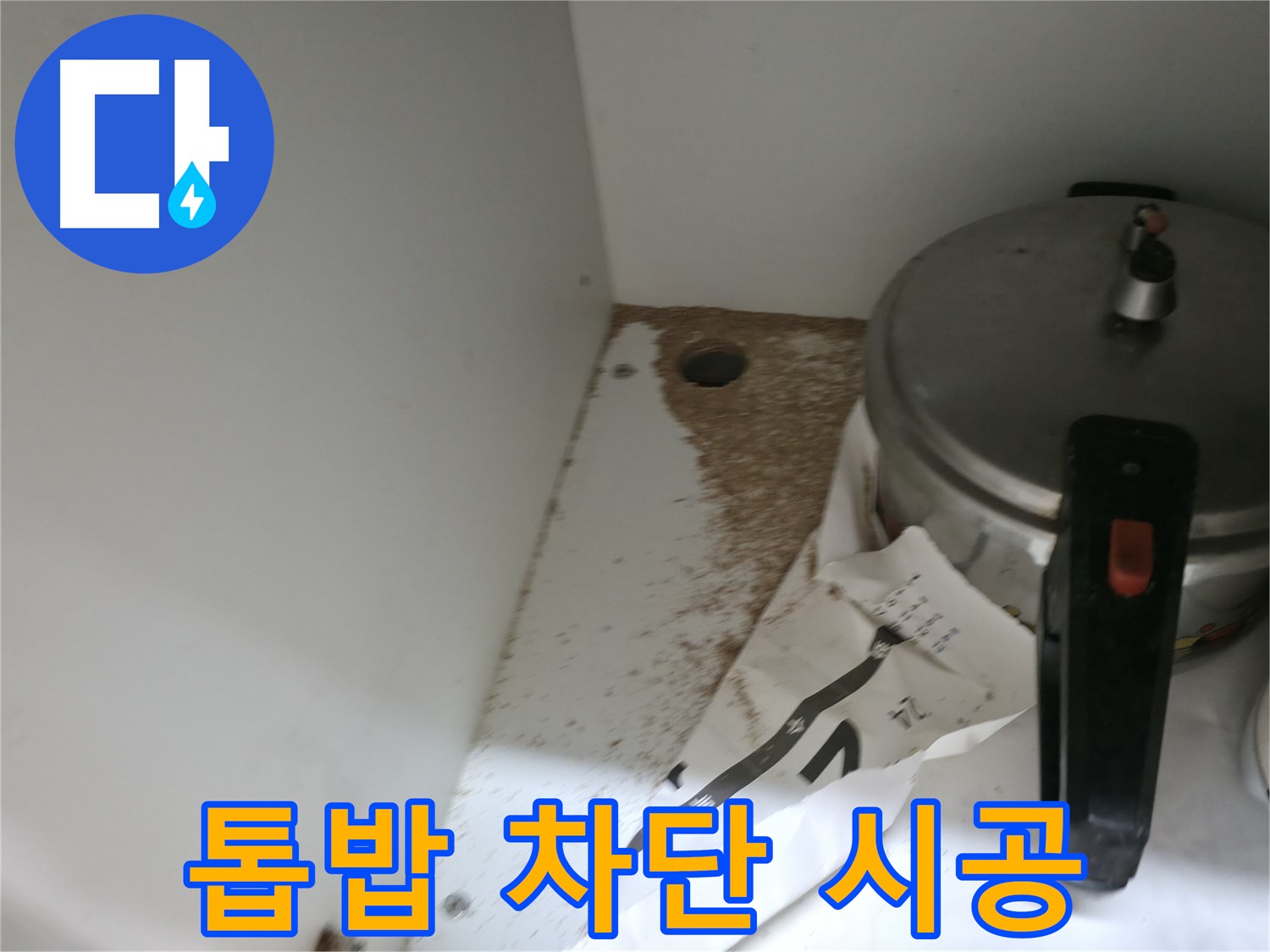 싱크대 하부 - 합판 부스러기 - 습기 - 누수 가능성