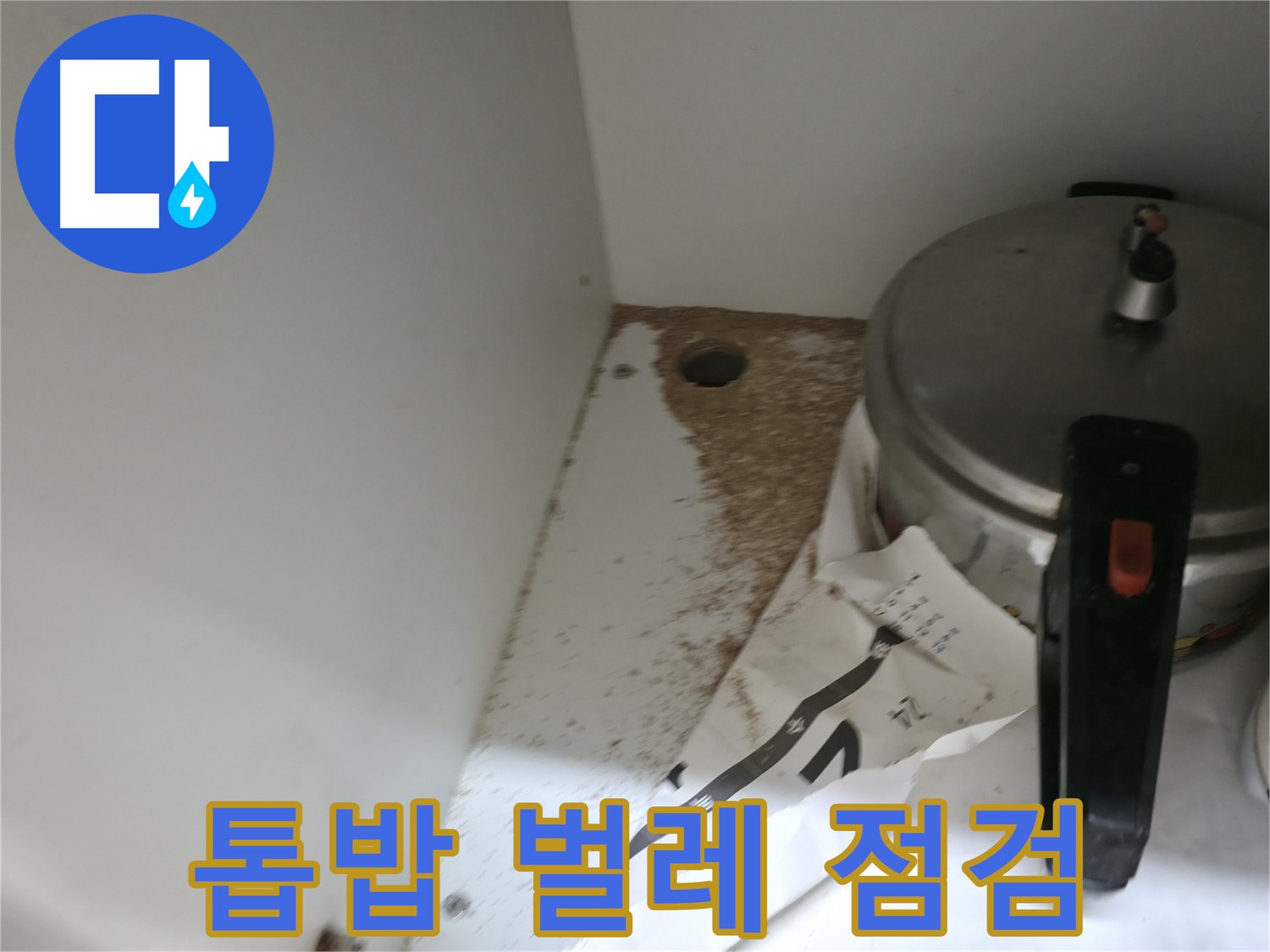 서초2동 싱크대 누수 - 톱밥 벌레 문제 긴급 누수 점검