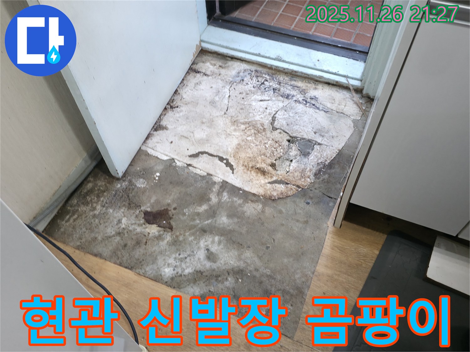 서초2동 현관 신발장 곰팡이 냄새 - 숨겨진 누수 의심, 악취 제거와 쾌적한 공간 만들기