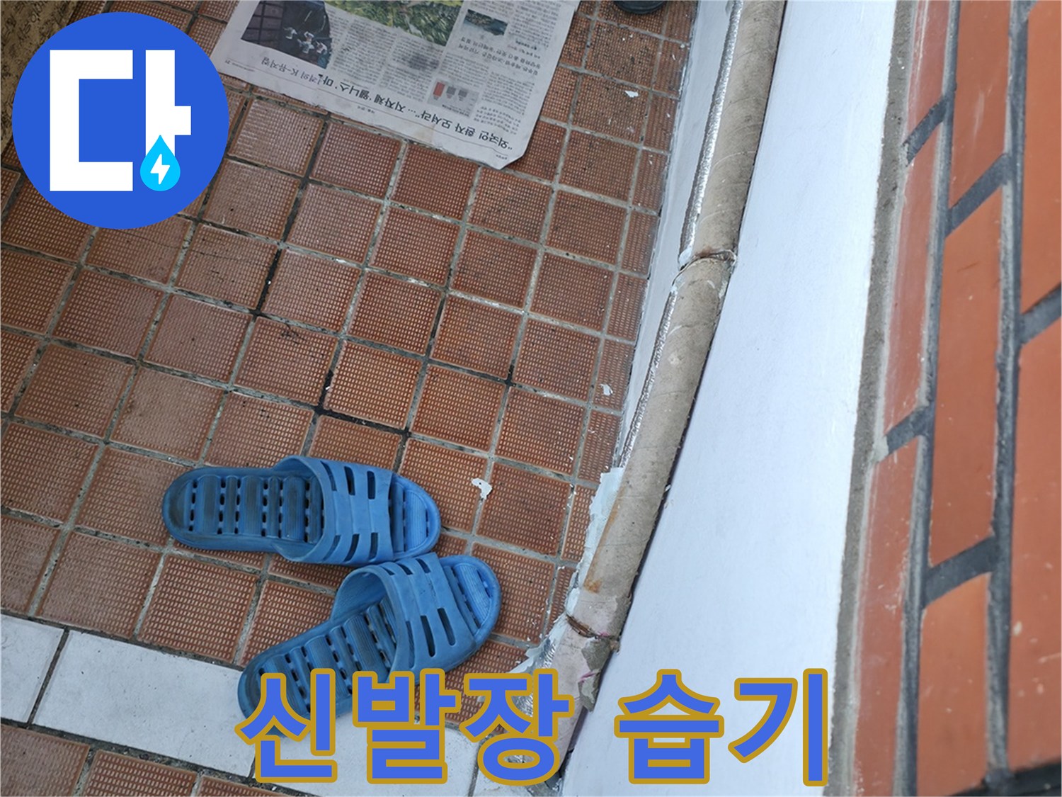 서초구 명달로4길 누수 - 현관 신발장에 습기가 찬다면 누수 때문에 곰팡이가 필 수 있습니다