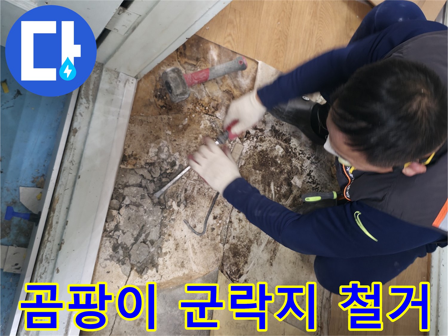 서초구 서초2동 누수 - 곰팡이 군락지 바닥 철거
