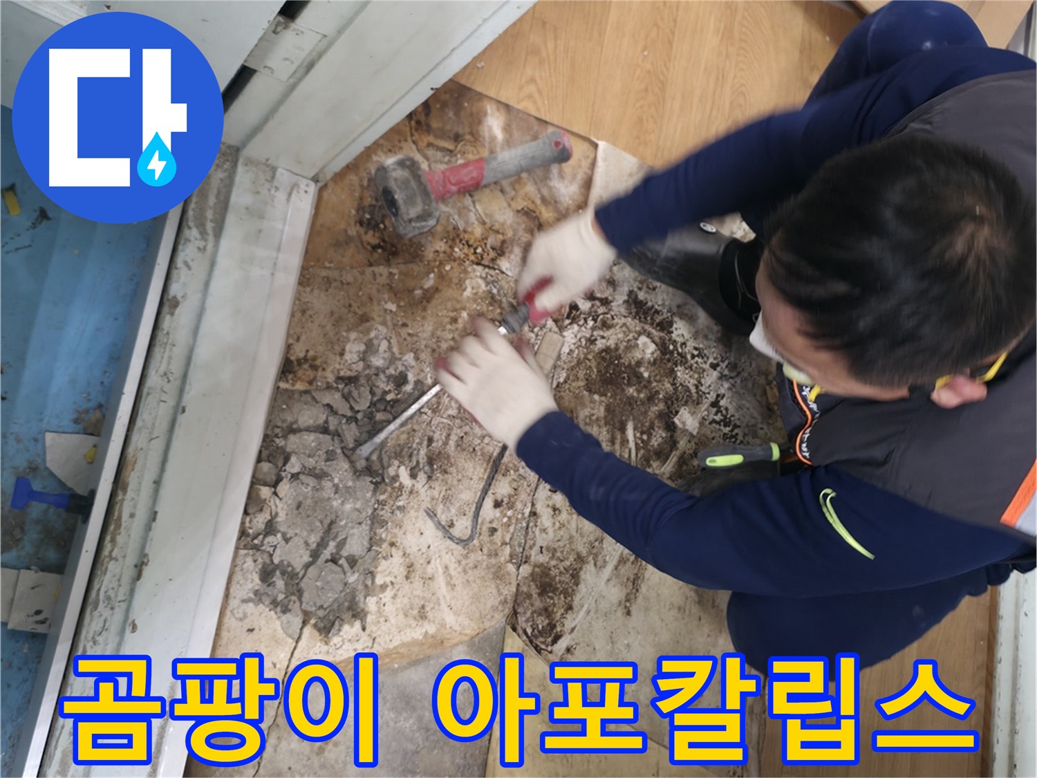 서초구 서초2동 누수 - 곰팡이 아포칼립스 바닥 철거