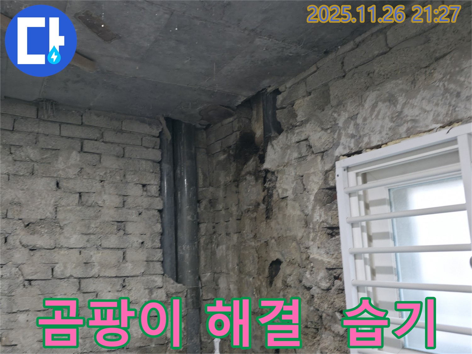 서초구 서초2동 - 주택 내부 곰팡이 문제 해결 - 완벽한 습기 제거로 쾌적한 보금자리 - 쾌적한 주거 환경 조성