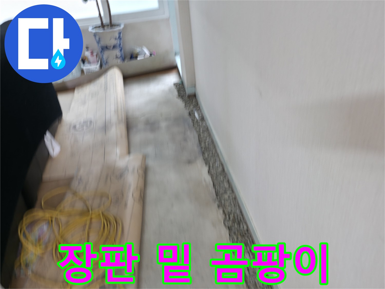 서초구 서초동 누수 현장 - 장판 밑 곰팡이와 냄새 문제를 해결하는 과정 이미지입니다.