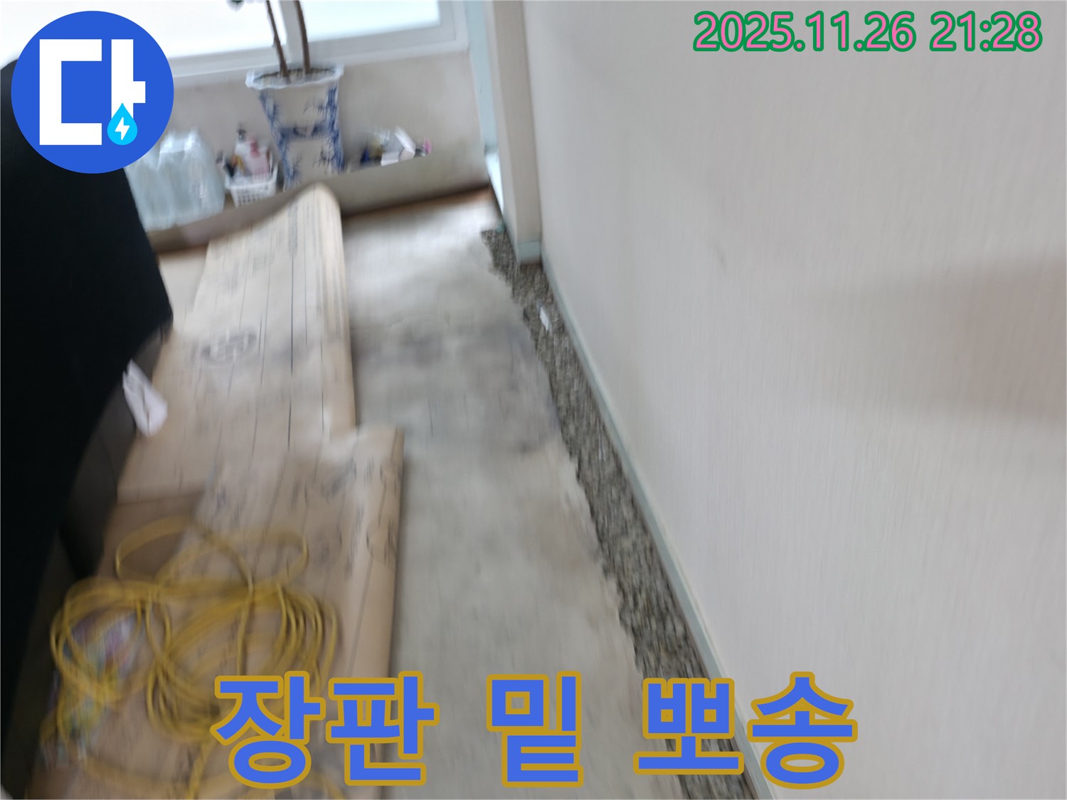 서초구 서초동 장판 밑 습기 제거 - 누수 해결로 뽀송한 공간 되찾기!