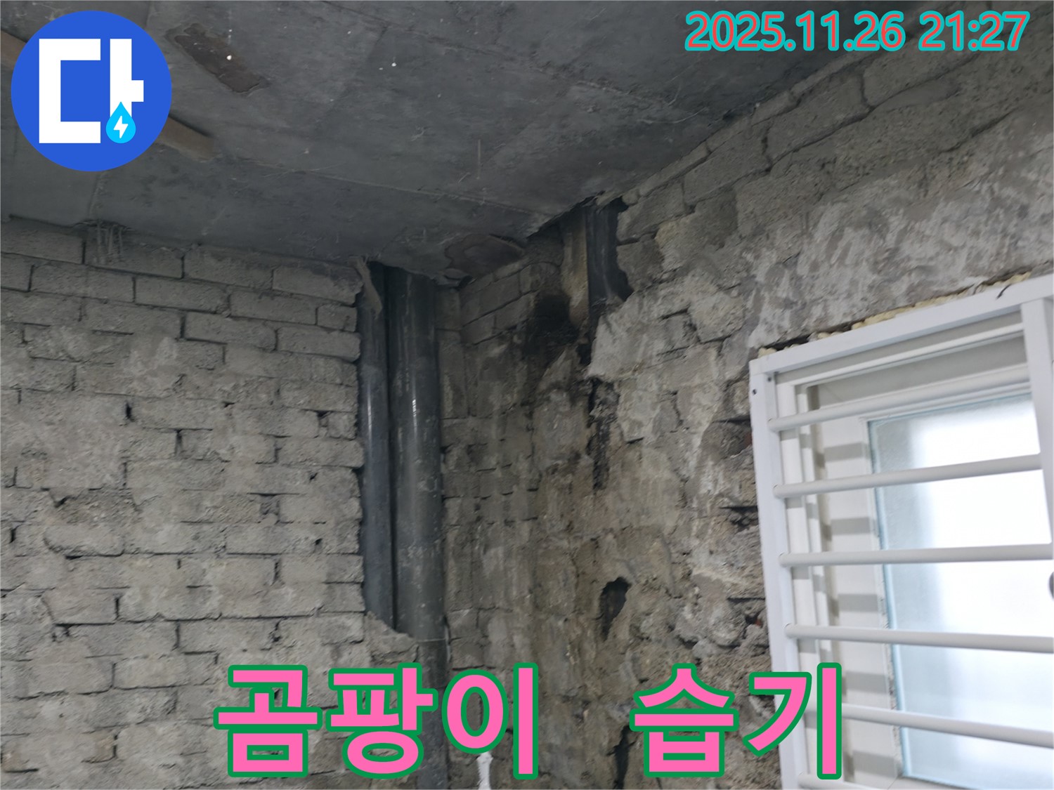 서초구 서초동 - 주택 내부 곰팡이 문제 - 숨겨진 누수와 습기의 콜라보레이션 - 곰팡이 문제 해결