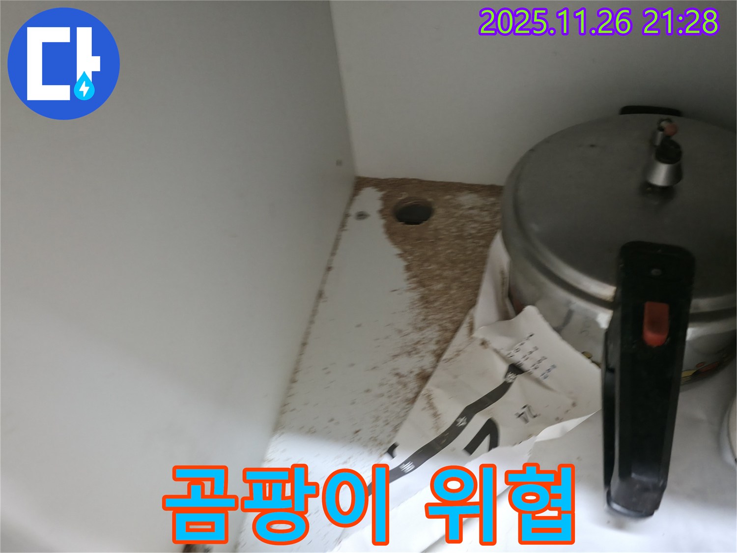 싱크대 밑 - 톱밥 - 곰팡이 발생 - 건강 위협