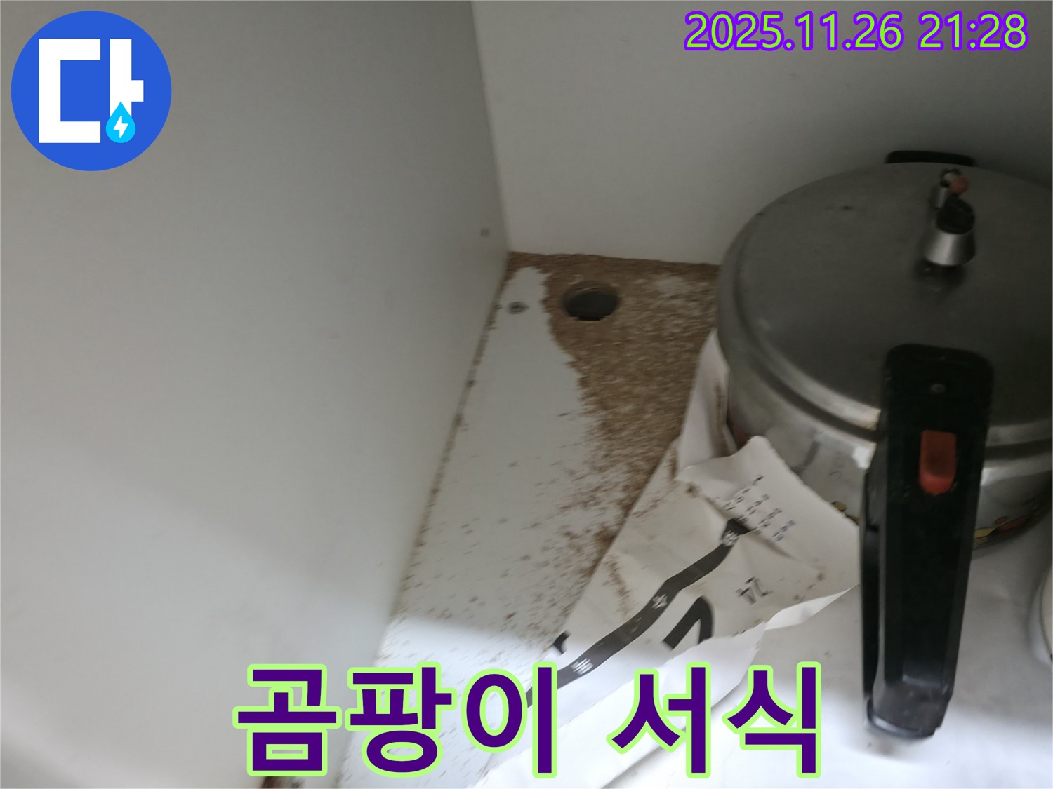 싱크대 밑 - 톱밥 - 곰팡이 서식 - 건강 위협