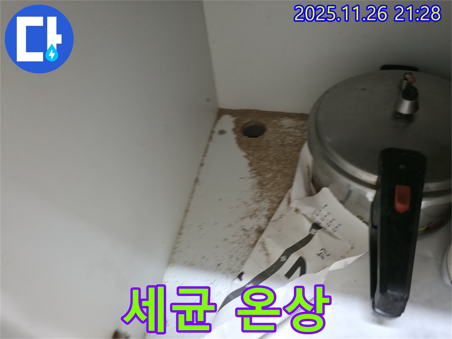 싱크대 밑 - 톱밥 - 곰팡이 서식 - 세균 번식