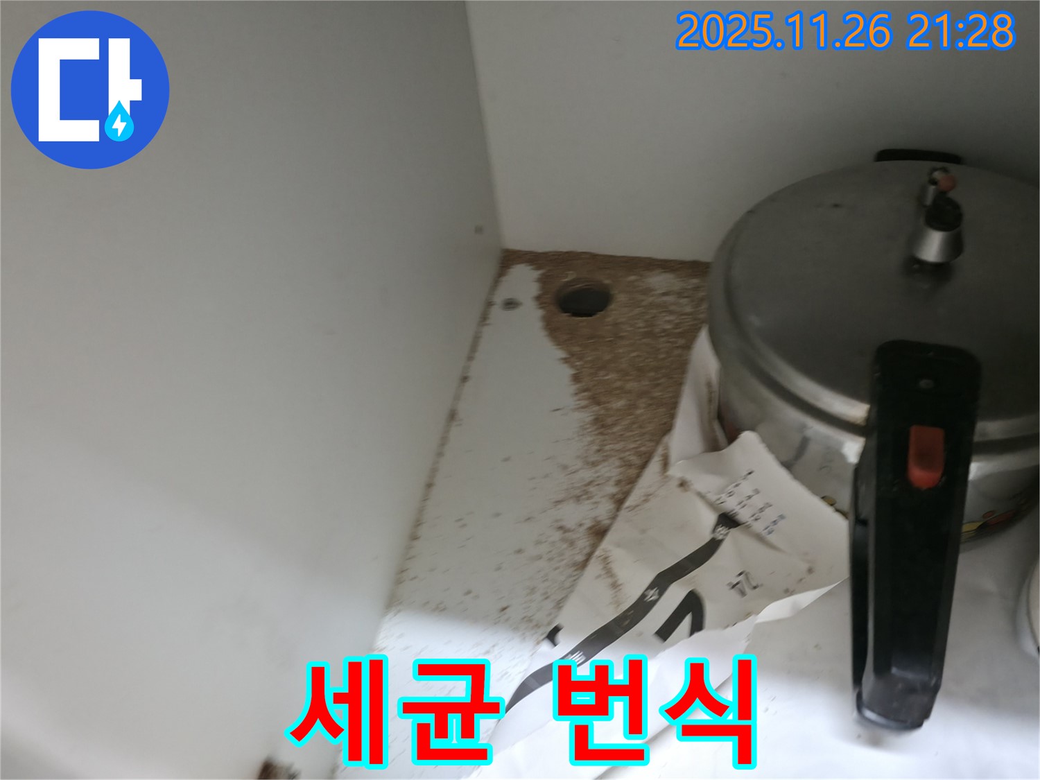 싱크대 밑 - 톱밥 - 세균 번식 - 위생 문제 심각