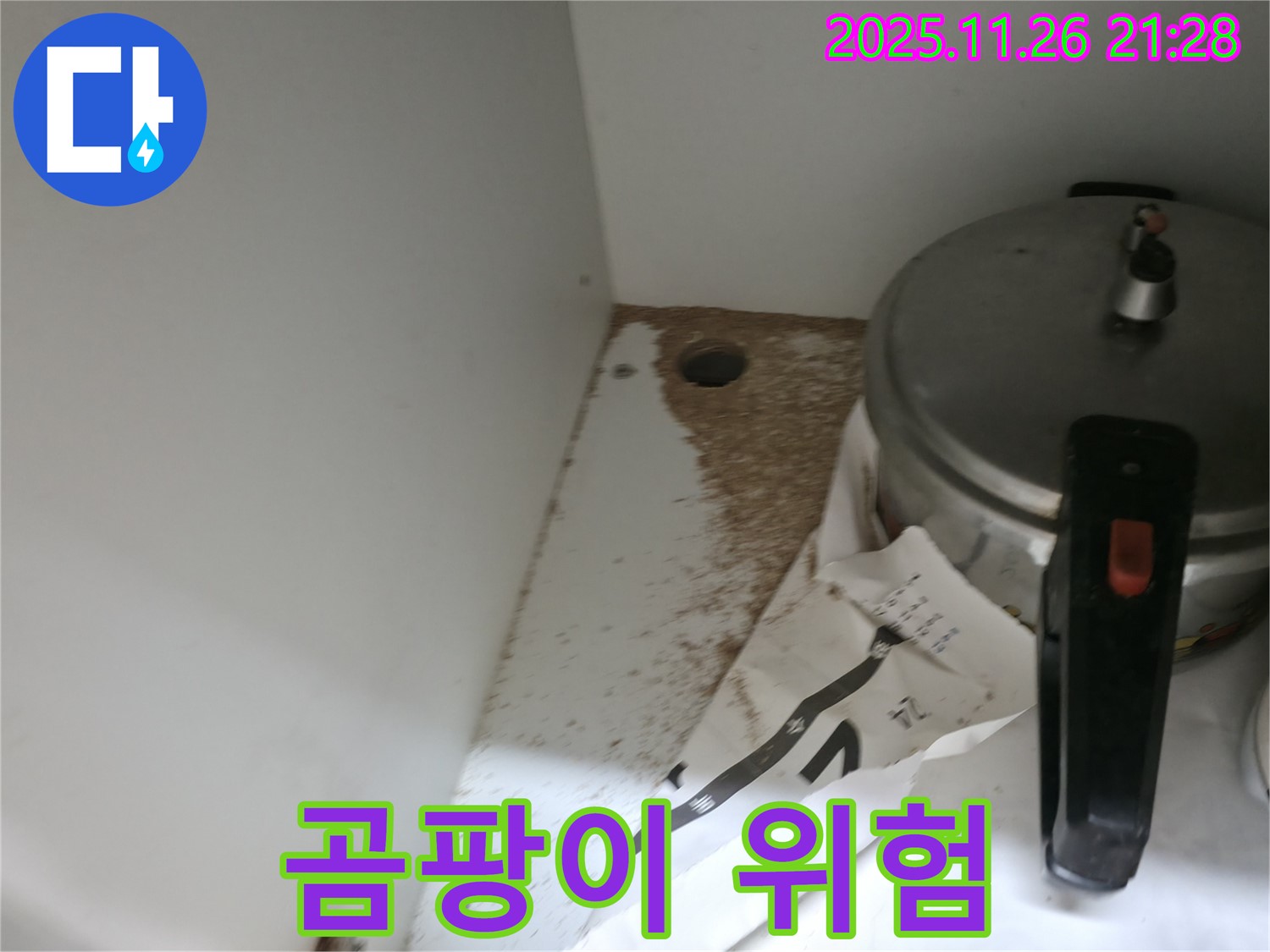 싱크대 밑 - 톱밥 - 습기 - 곰팡이 번식 위험