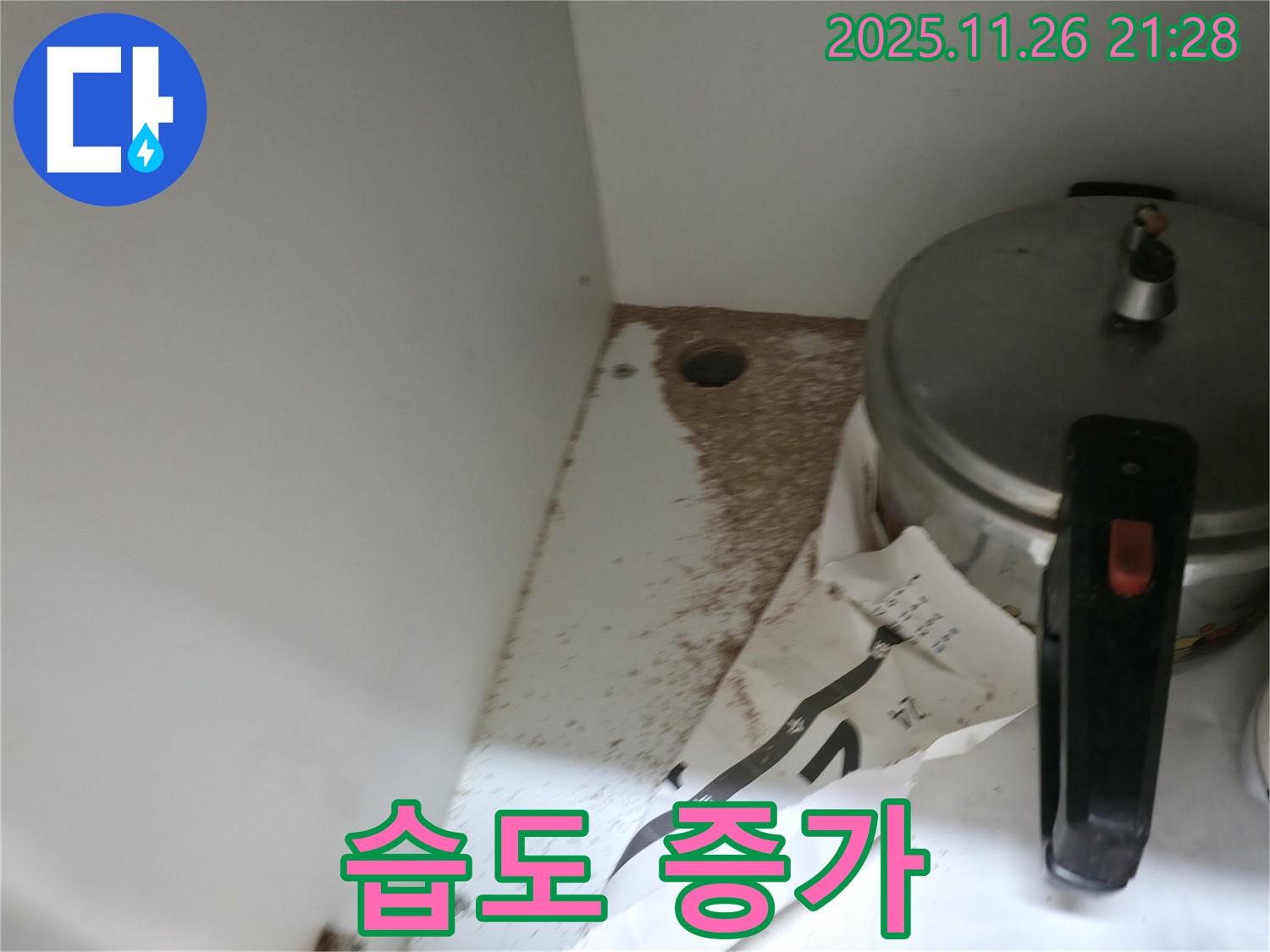 싱크대 밑 - 톱밥 - 습도 증가 - 곰팡이 번식 촉진