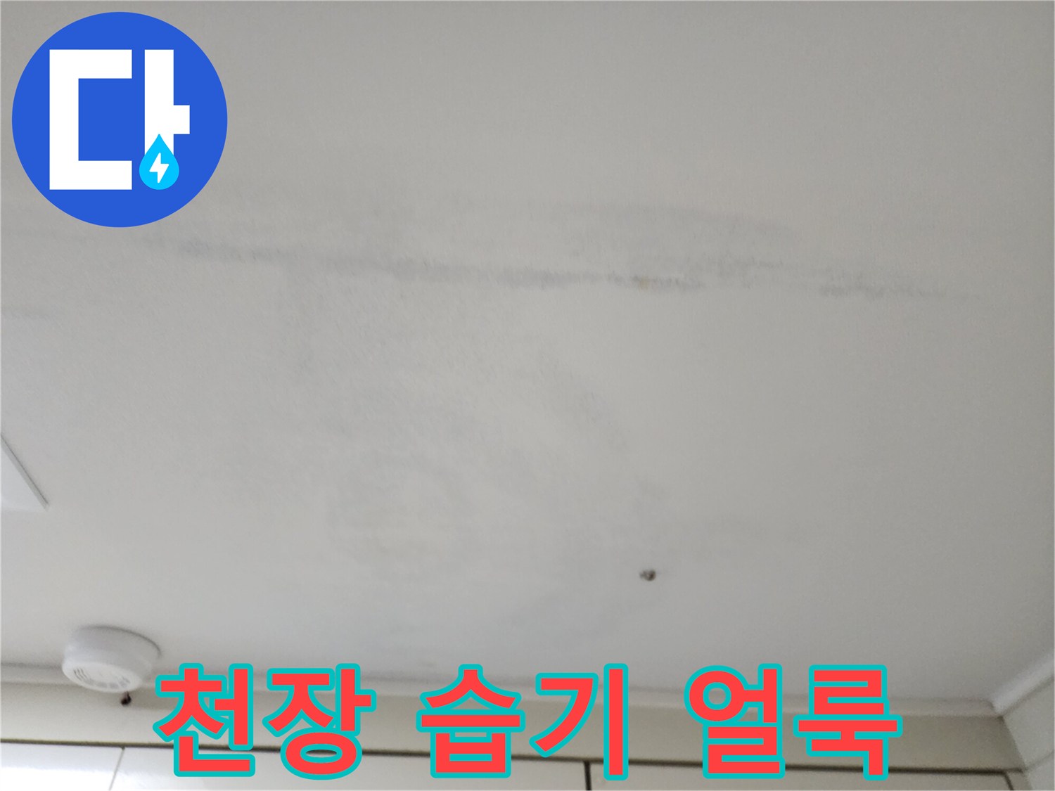 천장 도배면의 불규칙한 물샘 자국과 변색 부위