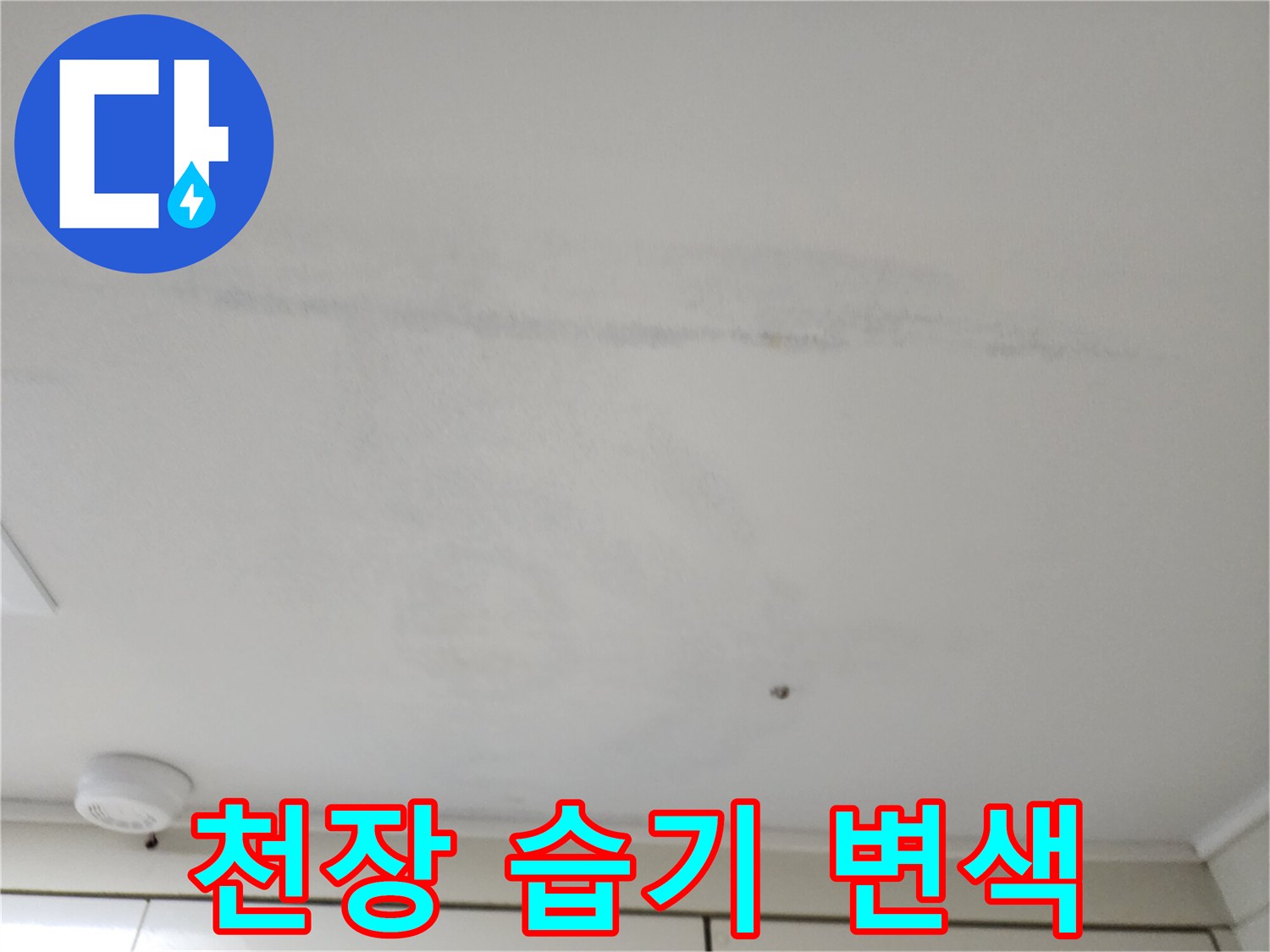 천장-마감재-부위에-발생한-누수-흔적과-얼룩