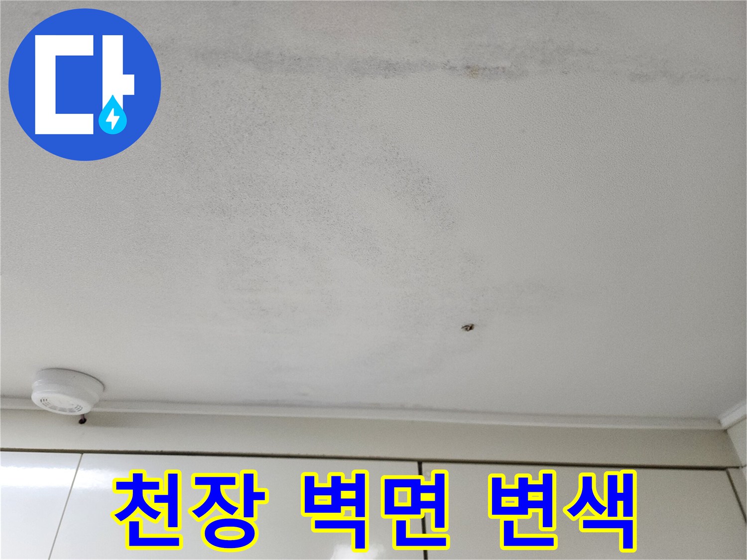 천장 마감재에 발생한 젖은 듯한 얼룩 자국