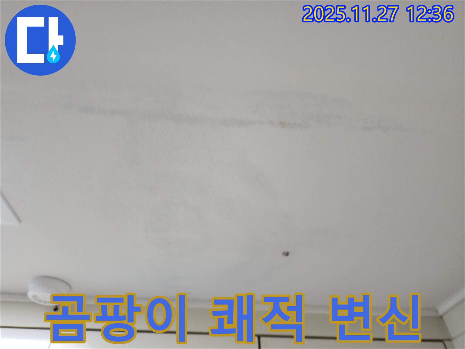 포천 신북면 삼정리 천장 누수 - 곰팡이 핀 천장, 쾌적하게 변신