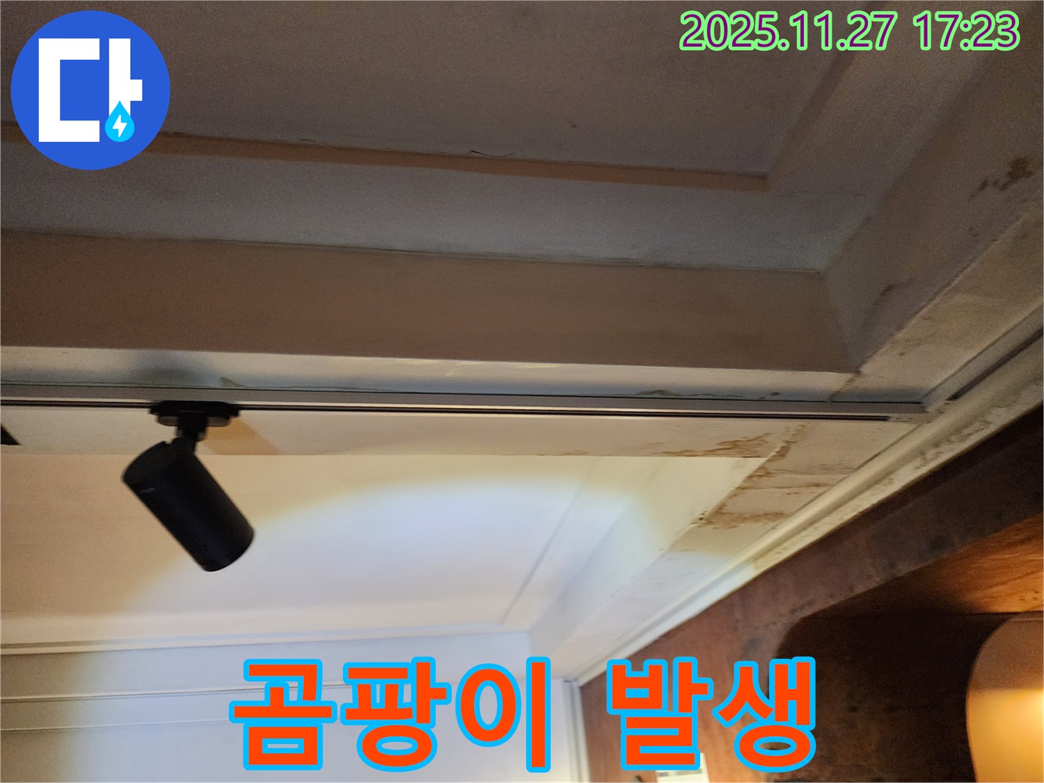 포천 신북면 석고보드 얼룩 - 곰팡이 발생 위험